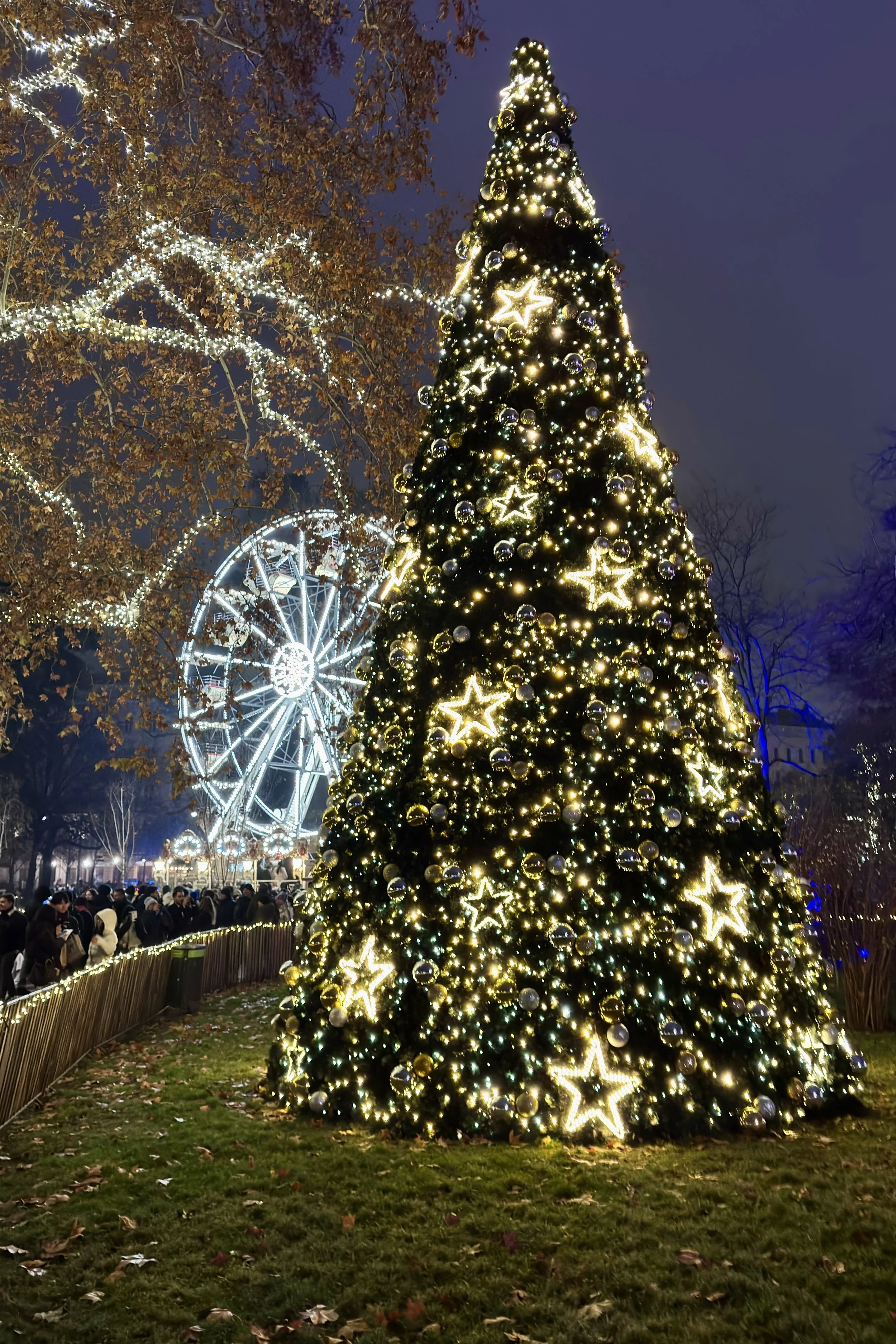 The Rathausplatz grounds were beautifully decorated.