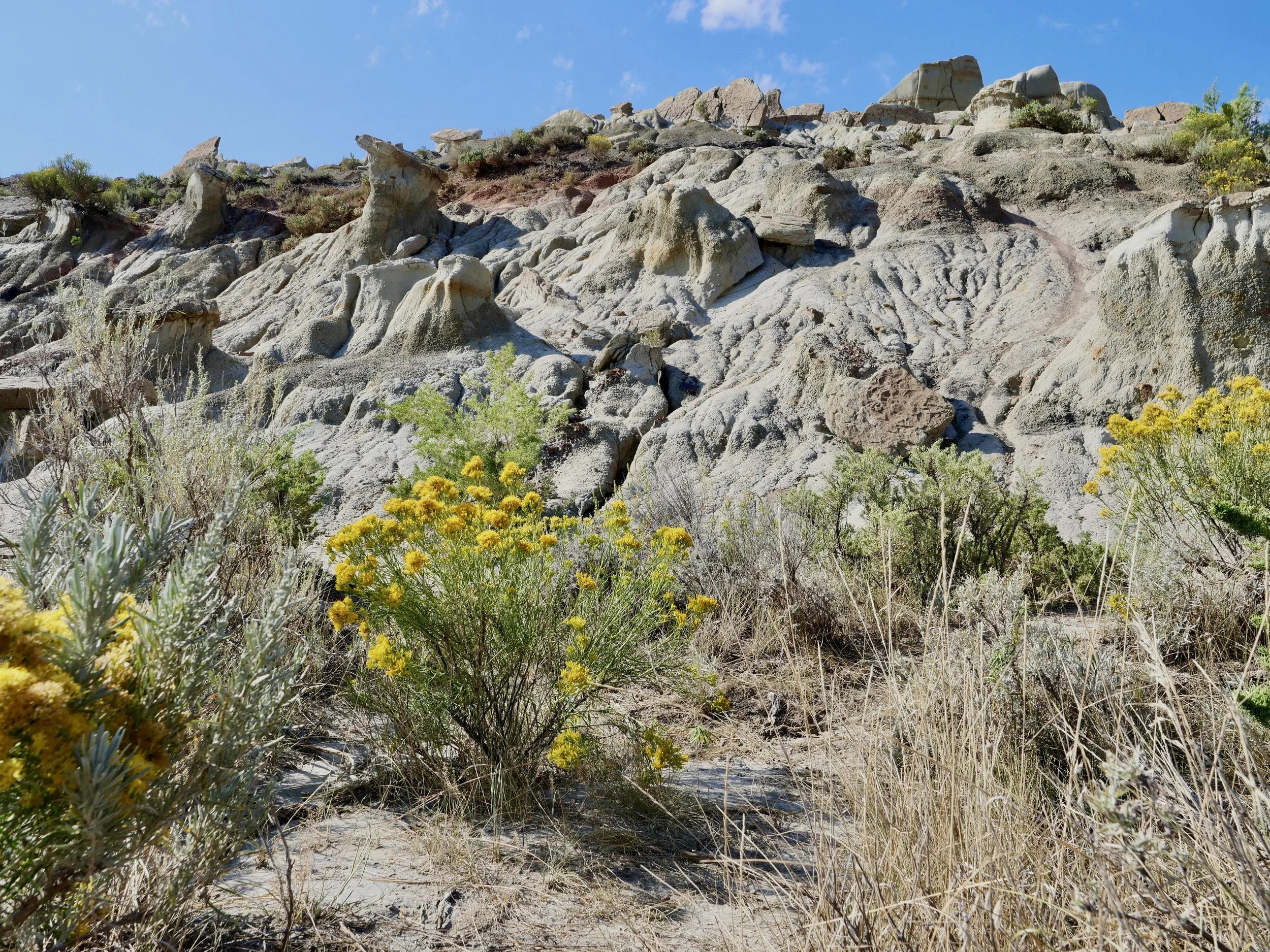 Hoodoo-like pillars among the eroded clay and sandstone located in the South Unit of the Park.