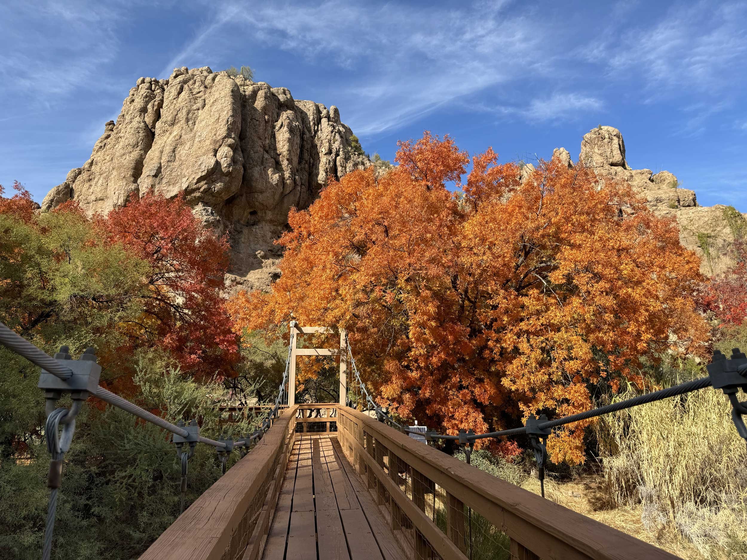 15 Pro - Boyce Thompson Arboretum