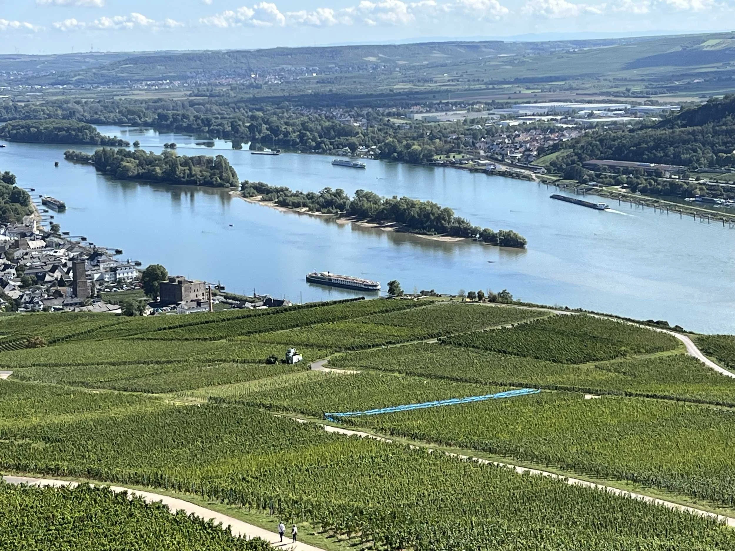 Looking down from the Park over the vinyards and the Rhine