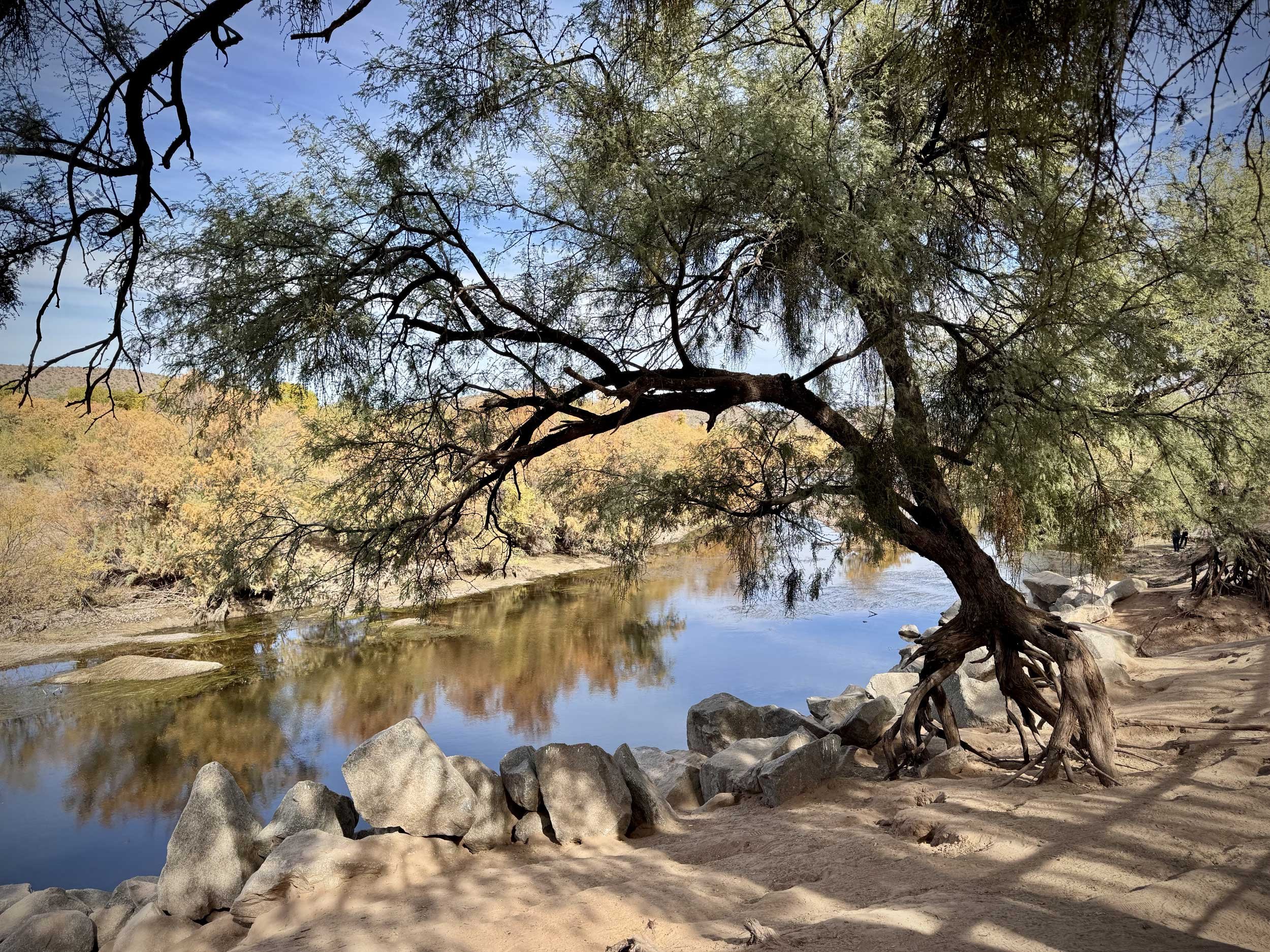 15 Pro - Salt River