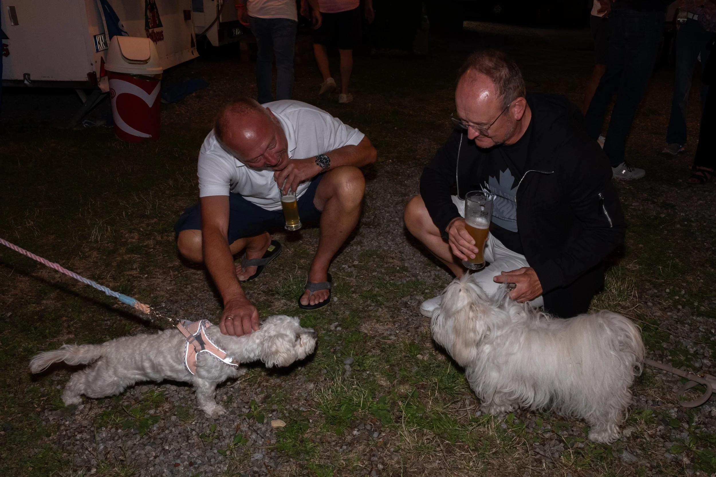 Zwei Männer sitzen auf dem Boden, streicheln zwei weiße Hunde, beide trinken Bier, im Hintergrund stehen Leute und ein Eiswagen.