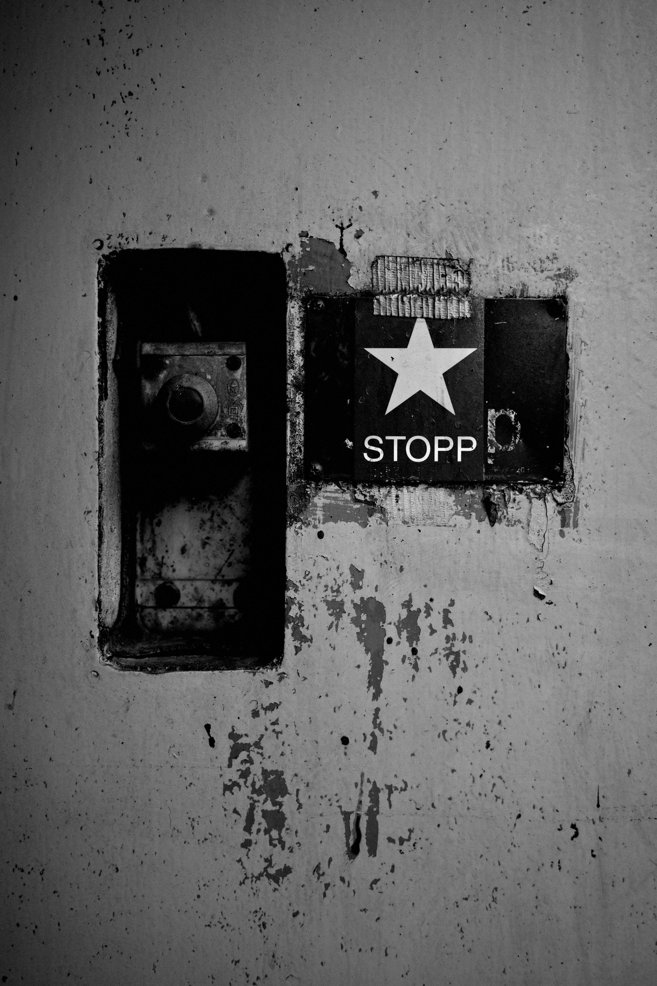 1763212739000_R0008802 2.JPG