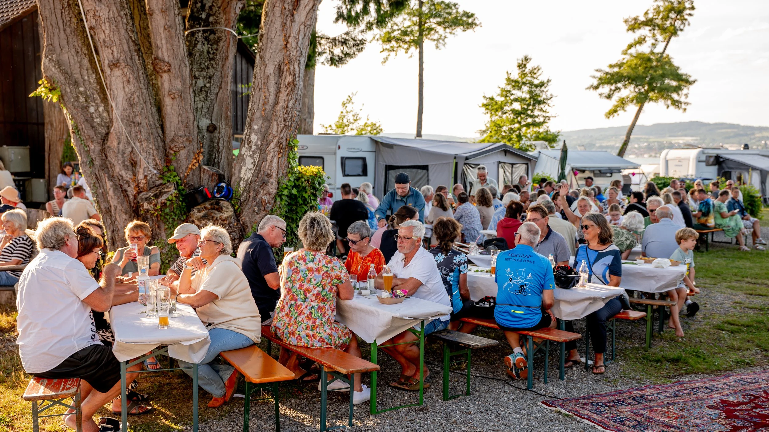 Menschen sitzen bei einem Sommerfest unter einem großen Baum, einige trinken Bier und unterhalten sich, im Hintergrund Wohnwagen und Bäume.