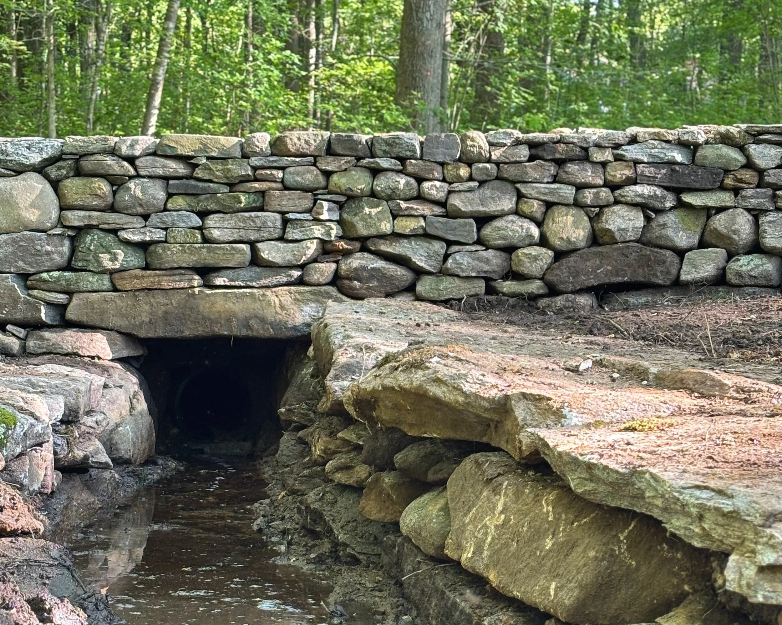 Dry fieldstone wall and culvert. Stone sourced from property. Madison, CT