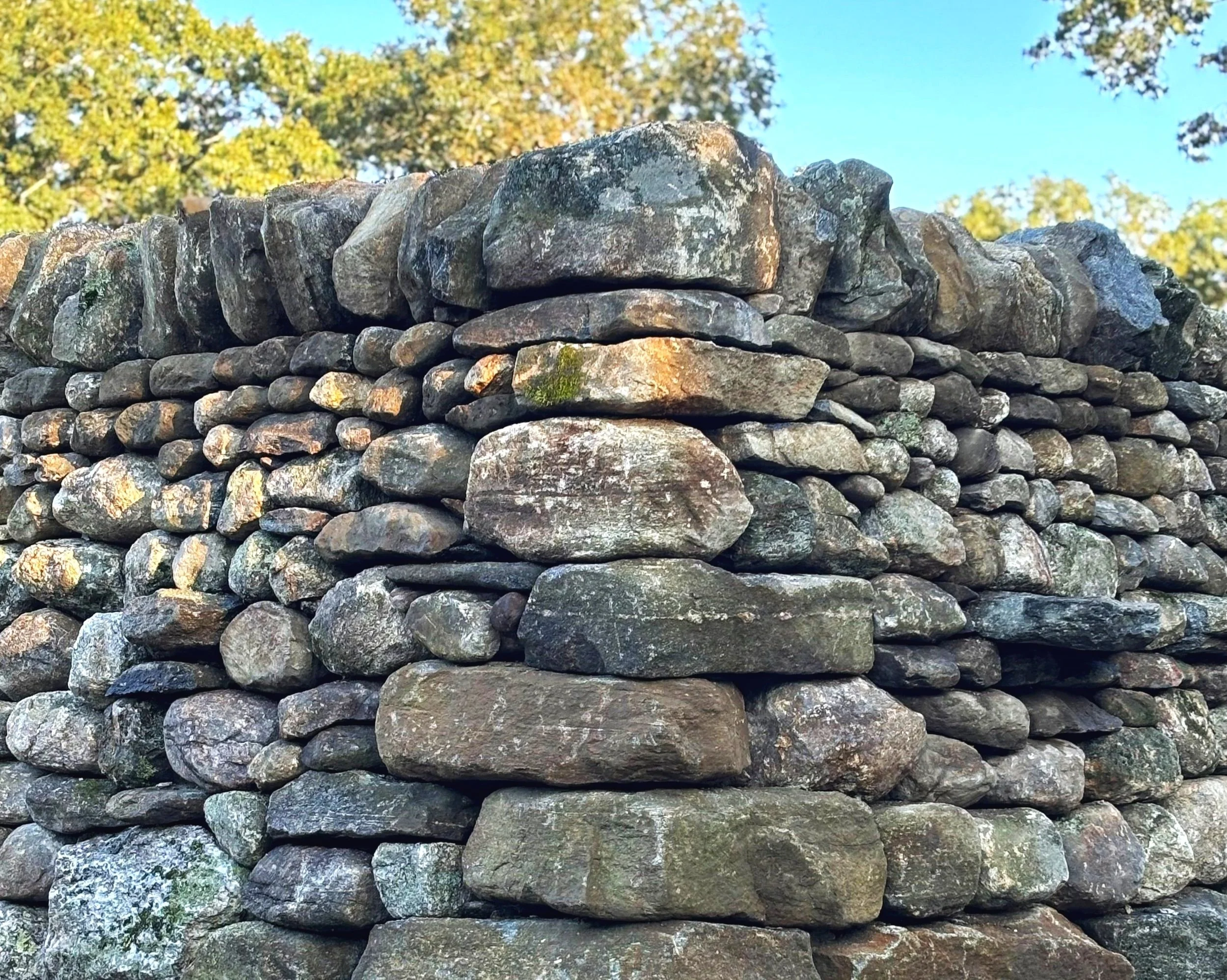 Dry fieldstone garden walls. Old Lyme, CT