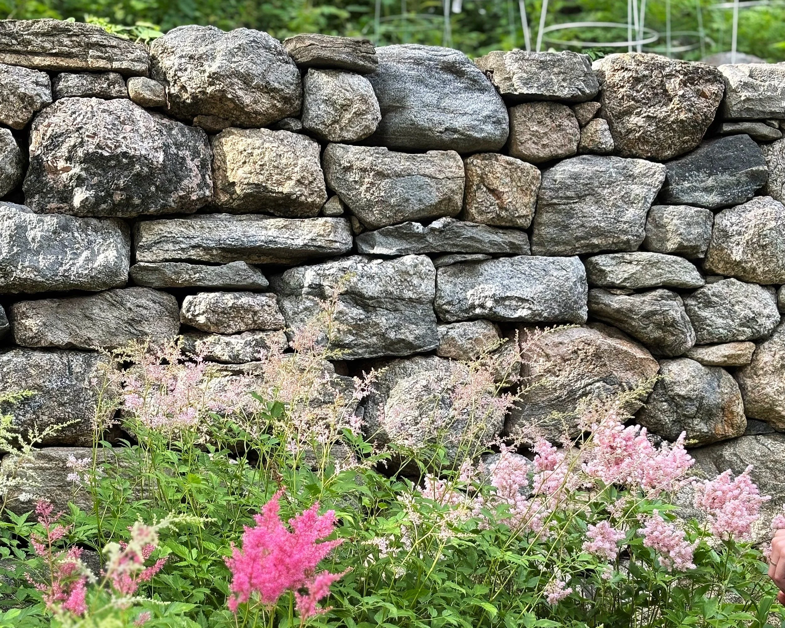 Dry fieldstone retaining wall. Stone sourced from property. Old Lyme, CT