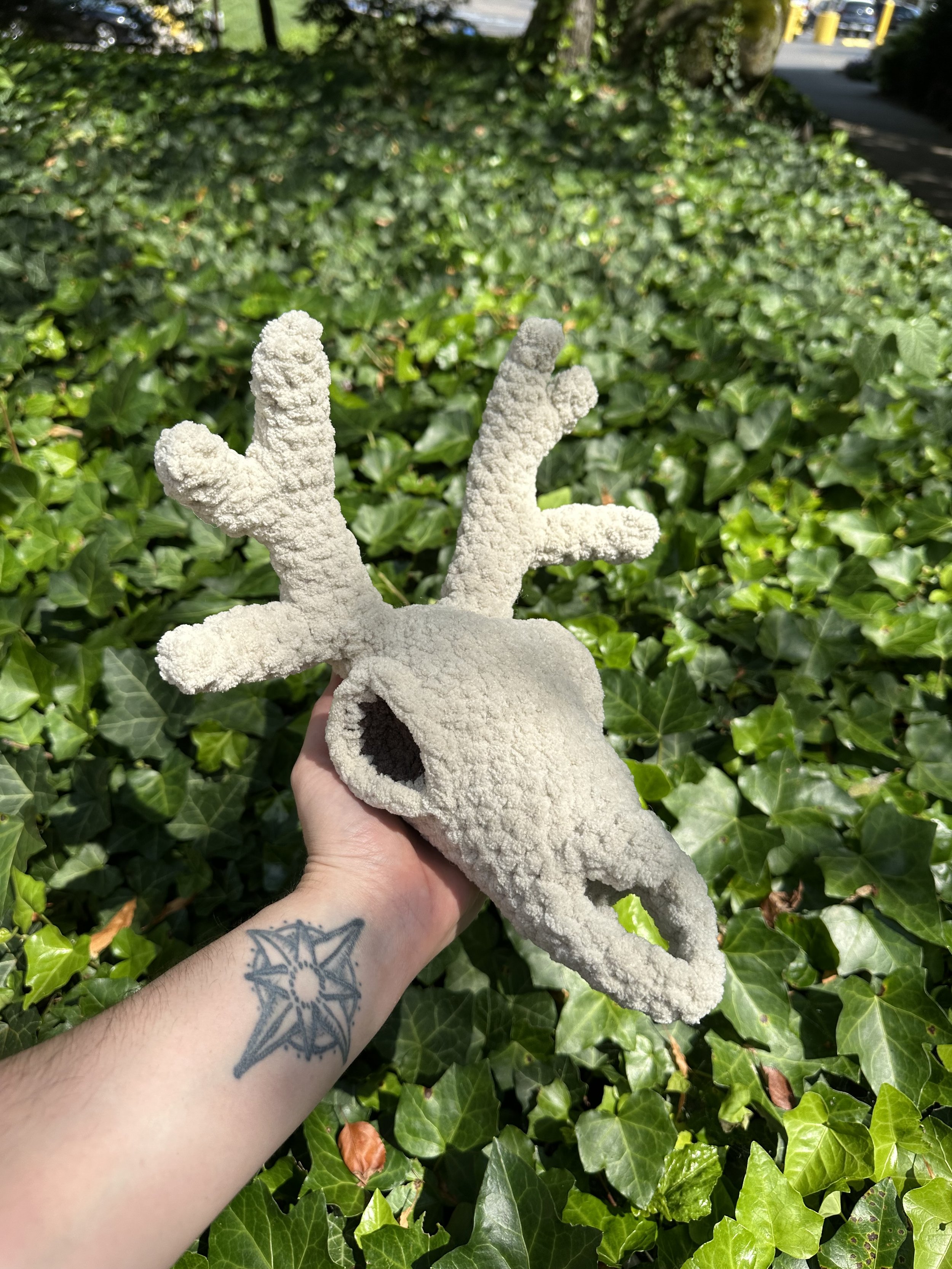 Deer Skull
