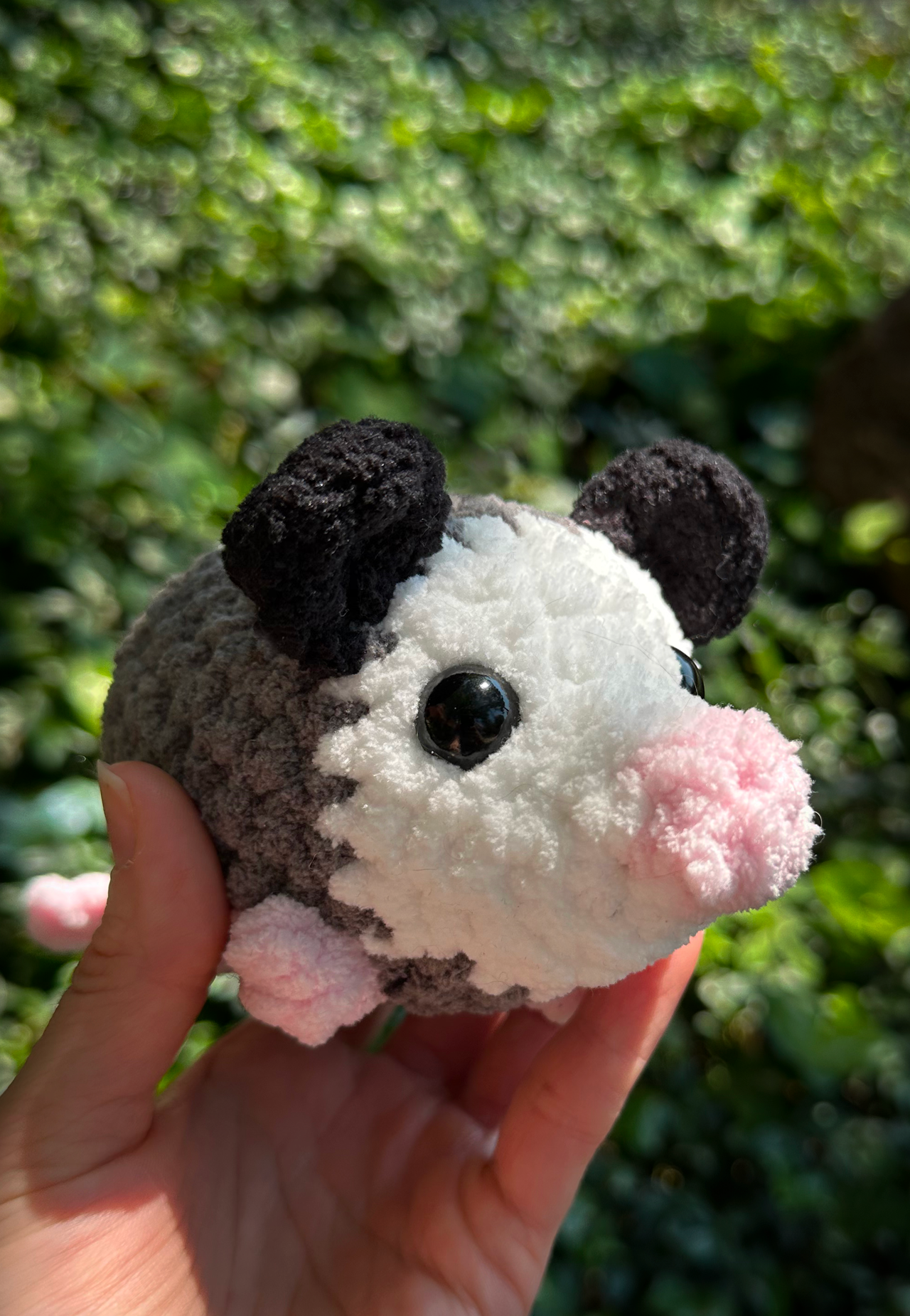 Little Opossum