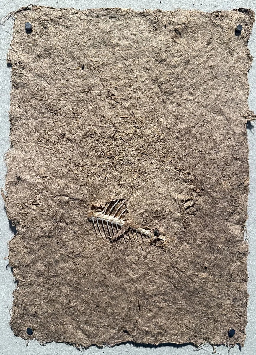 paper withfish.jpg