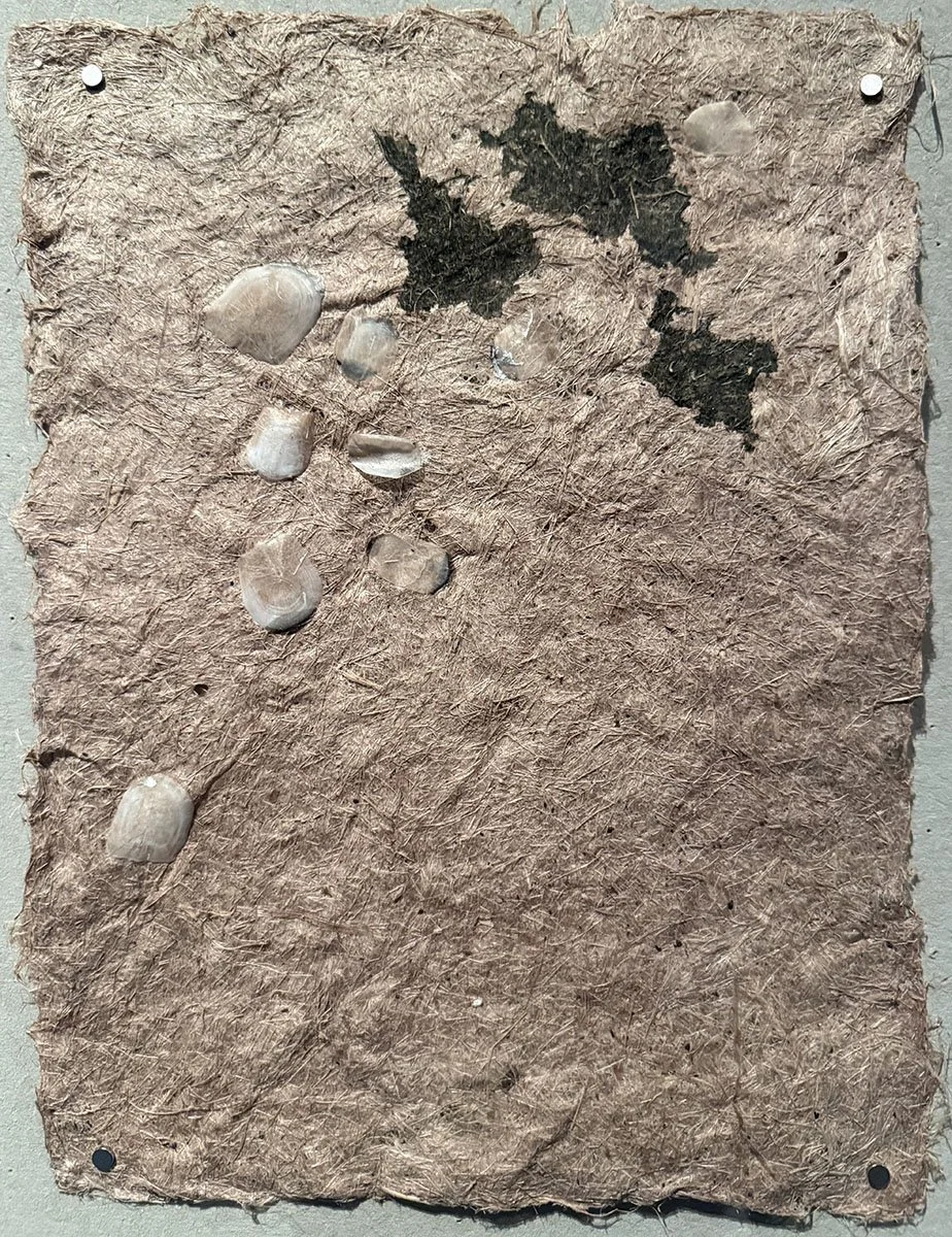 paper with shells.jpg