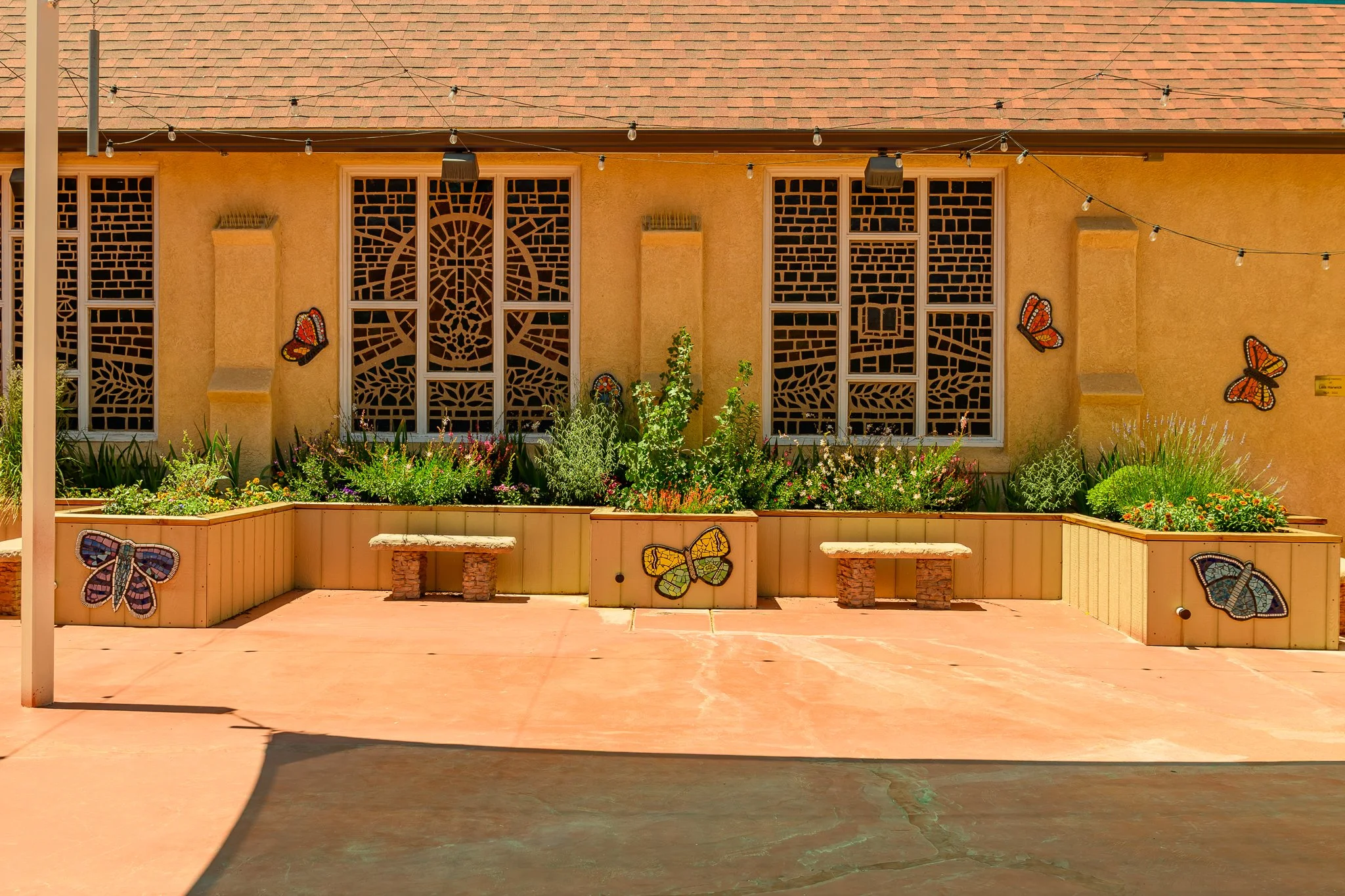 _DSC3727-HDR.jpg