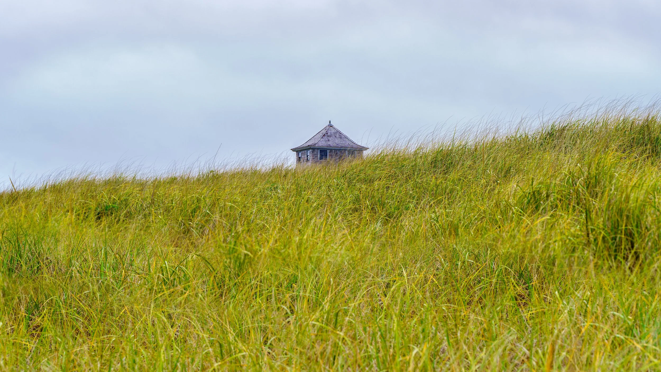 Cape Cod Seashore.jpg