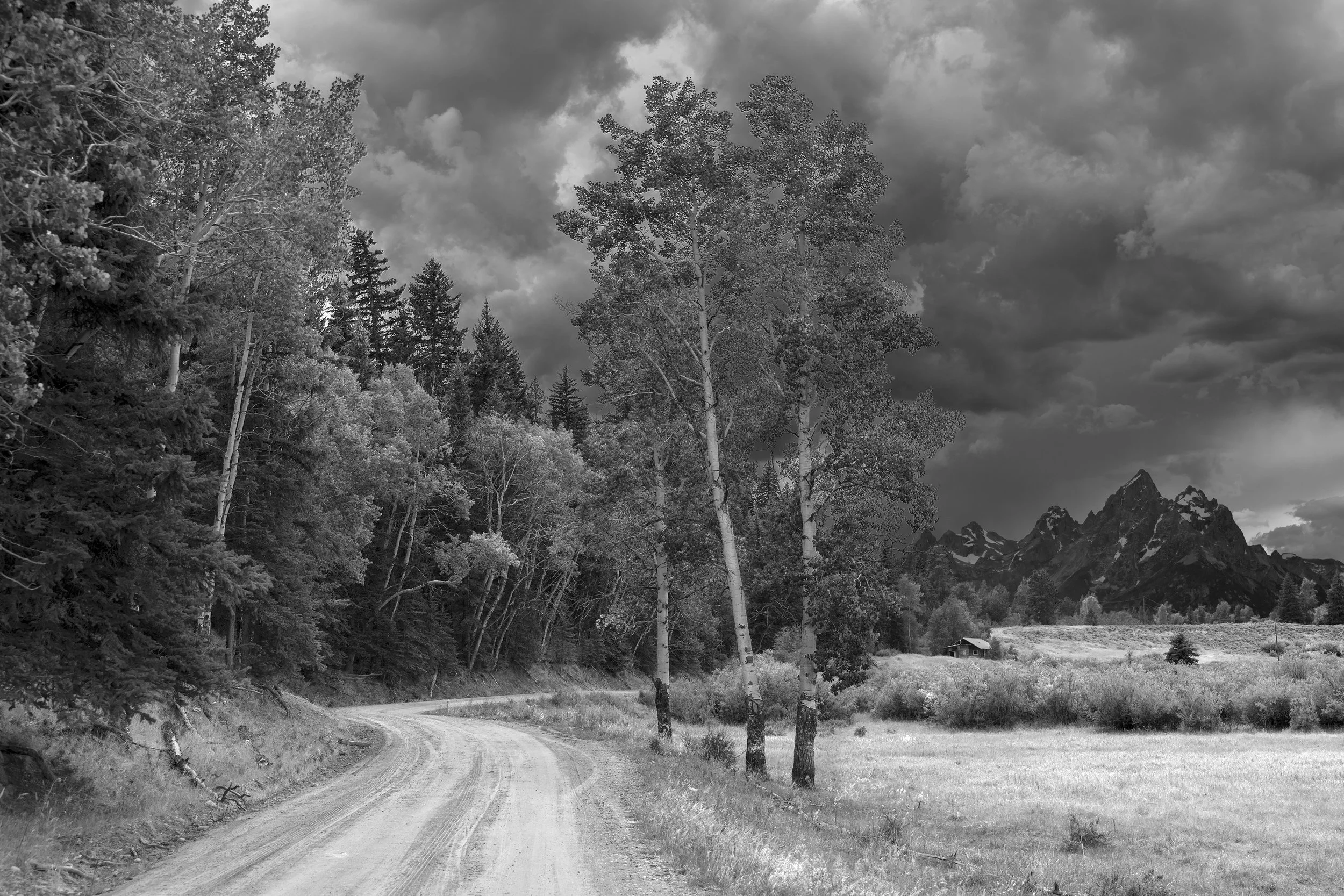 Backroads Grand Teton.jpg