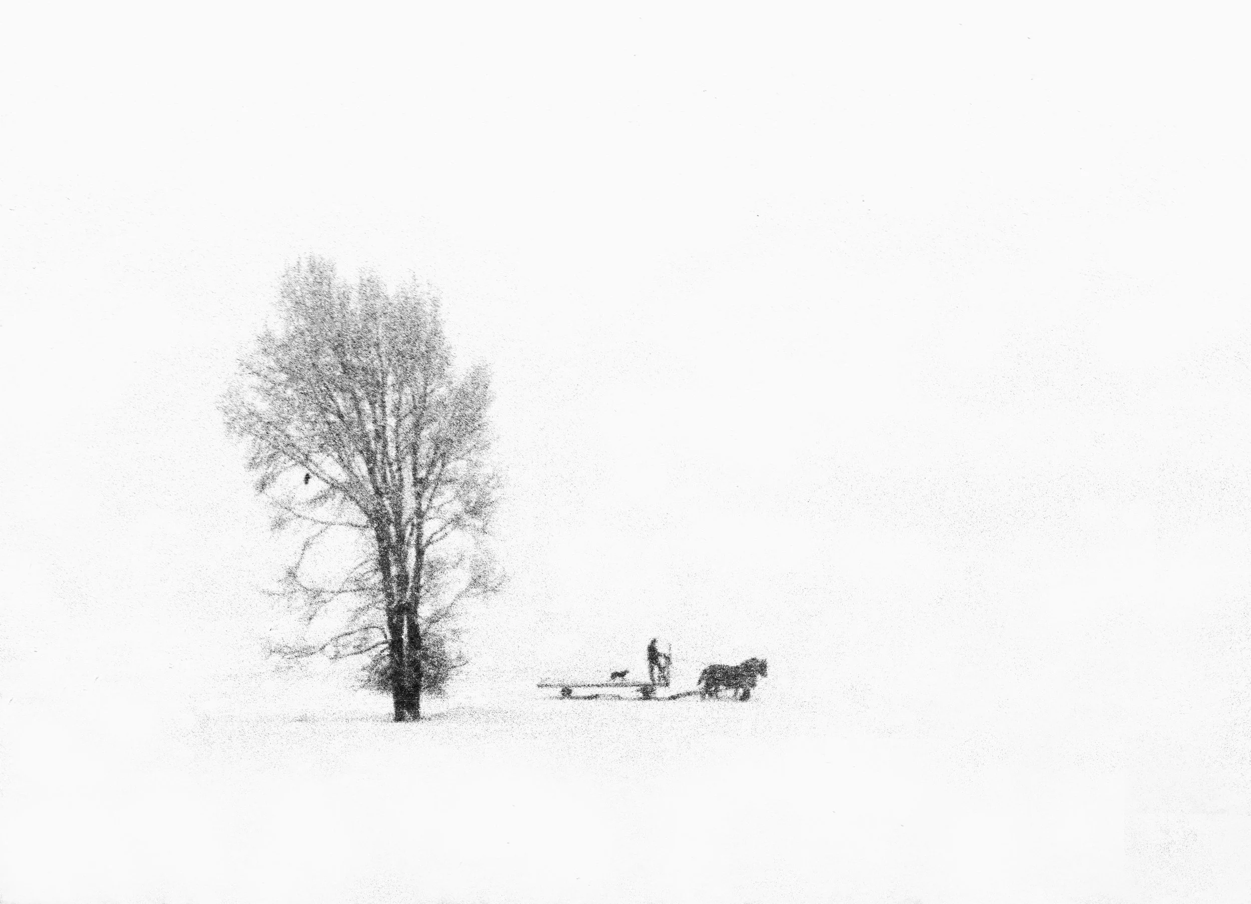 Winter White Out.jpg