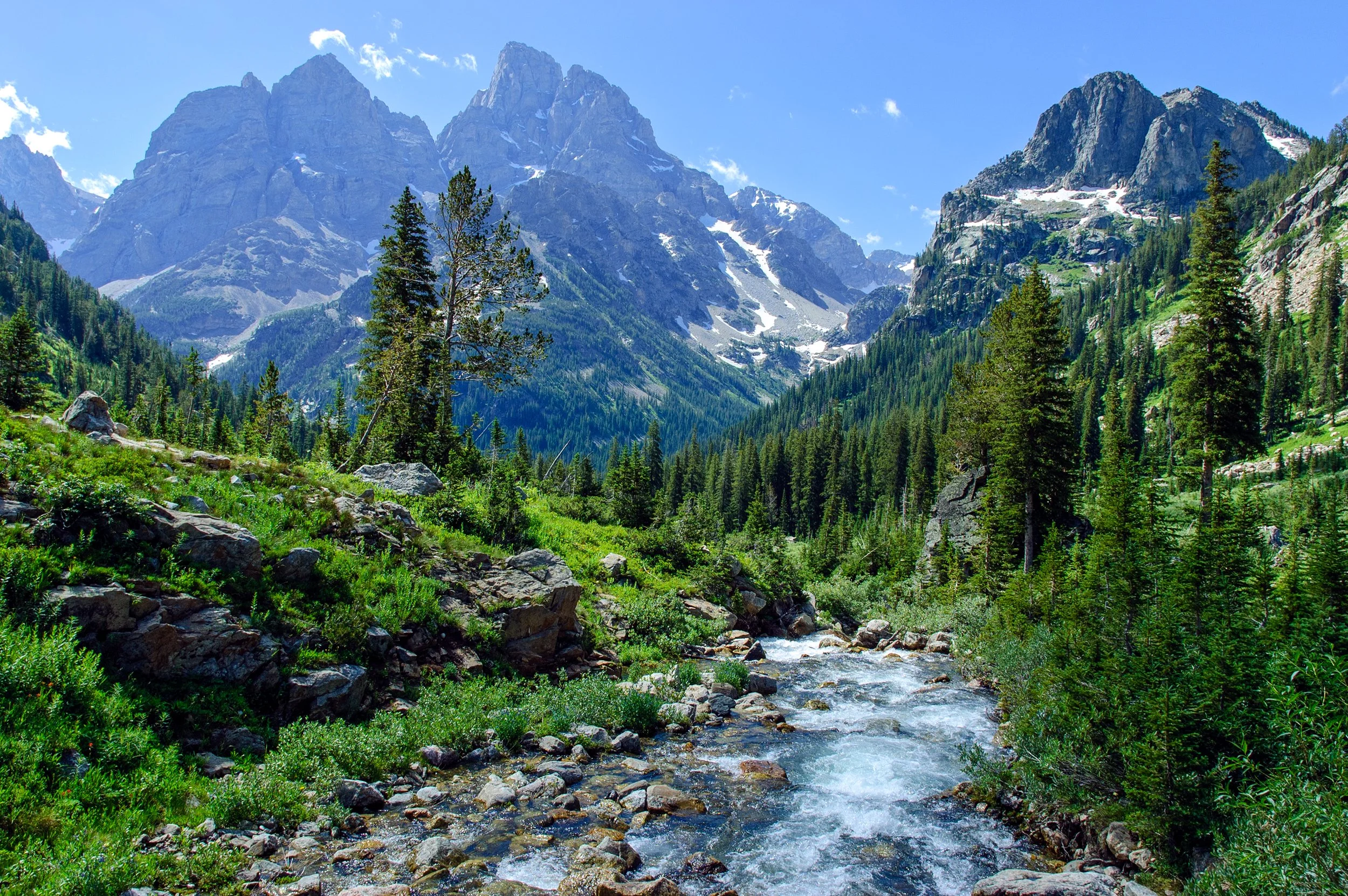DSC_2644-B-r3.jpg