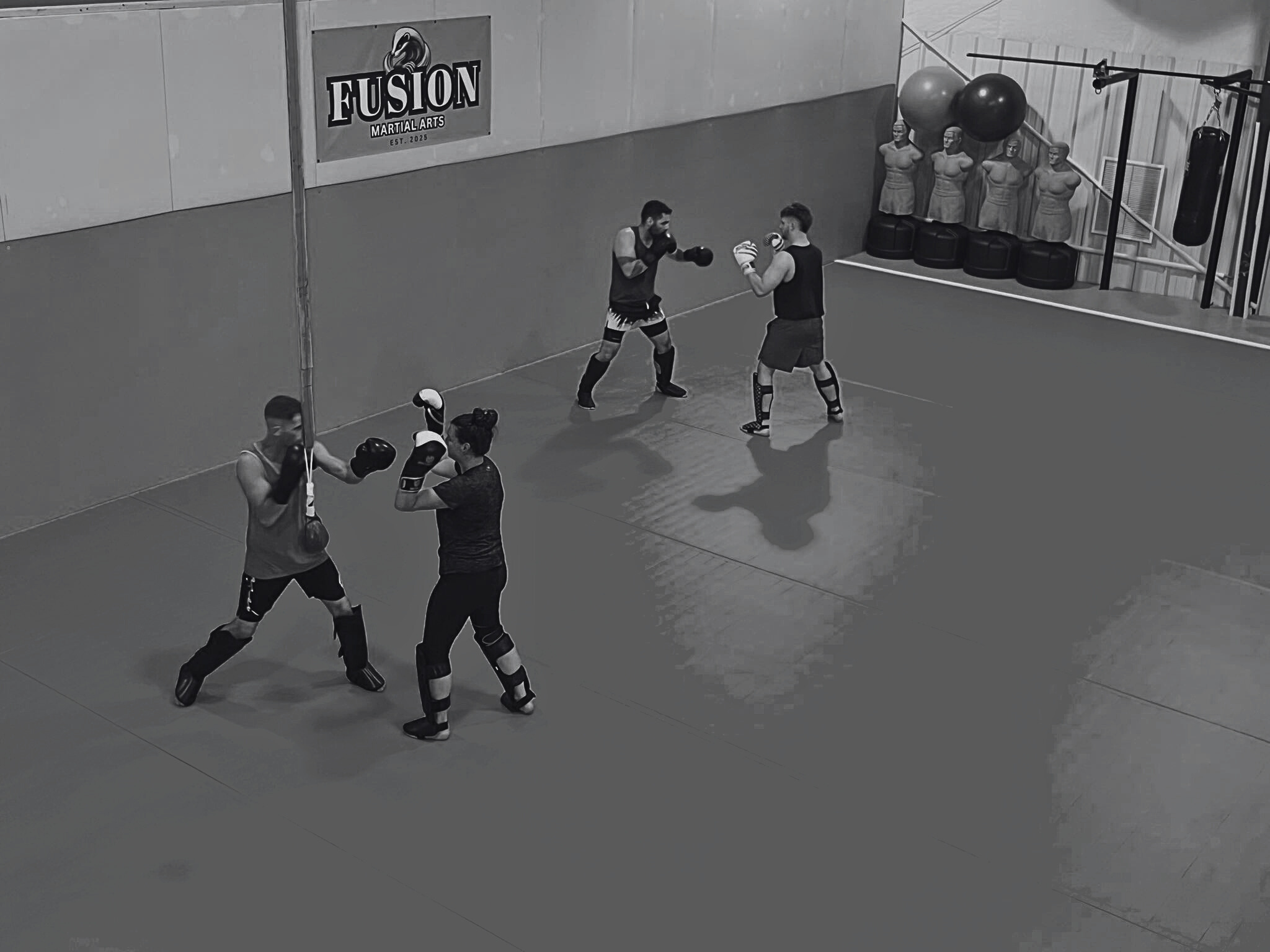 Untitled design (6) copy.png