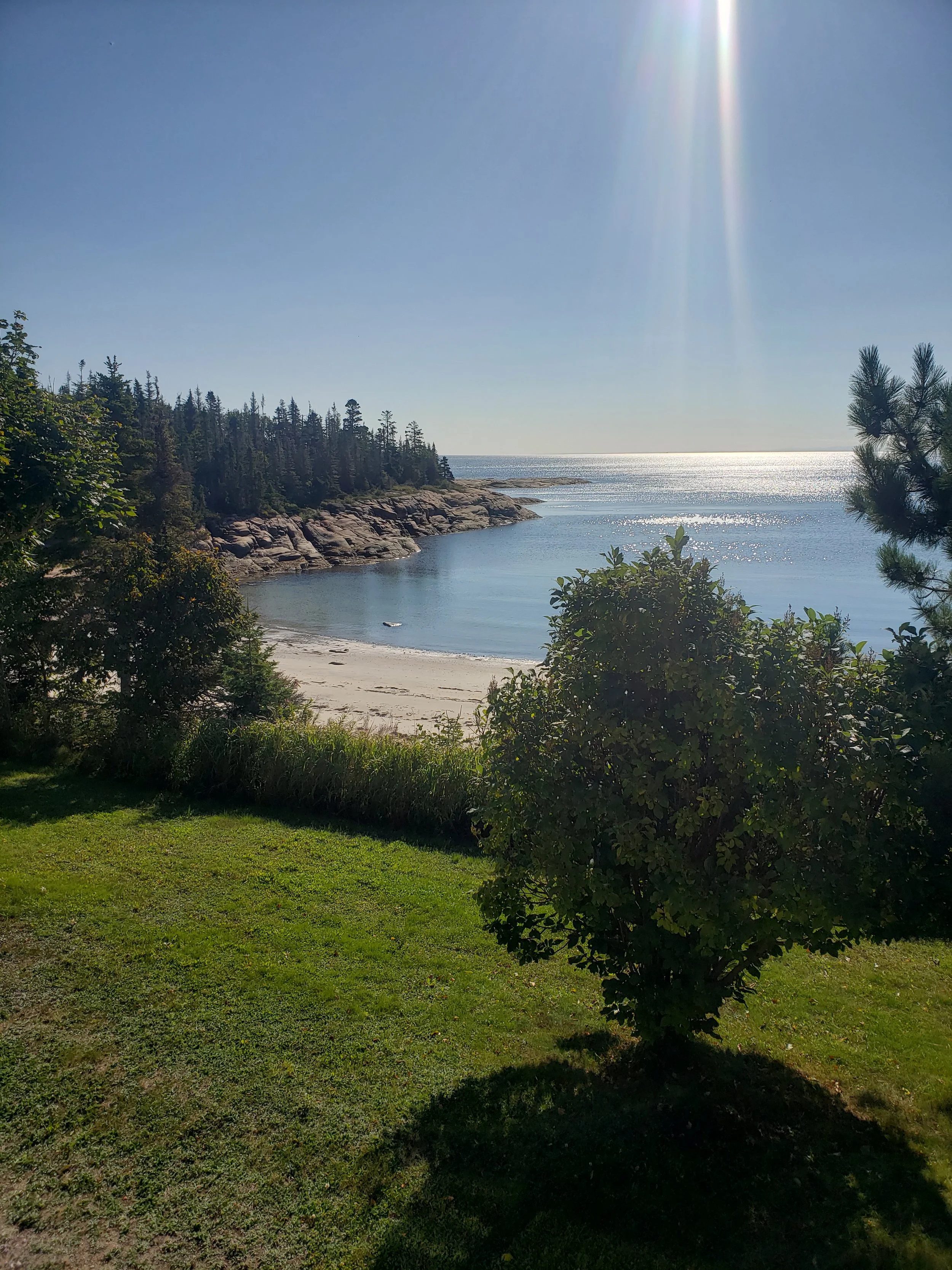 Une plage rocheuse bordée d'arbres, avec une mer calme et un ciel ensoleillé.