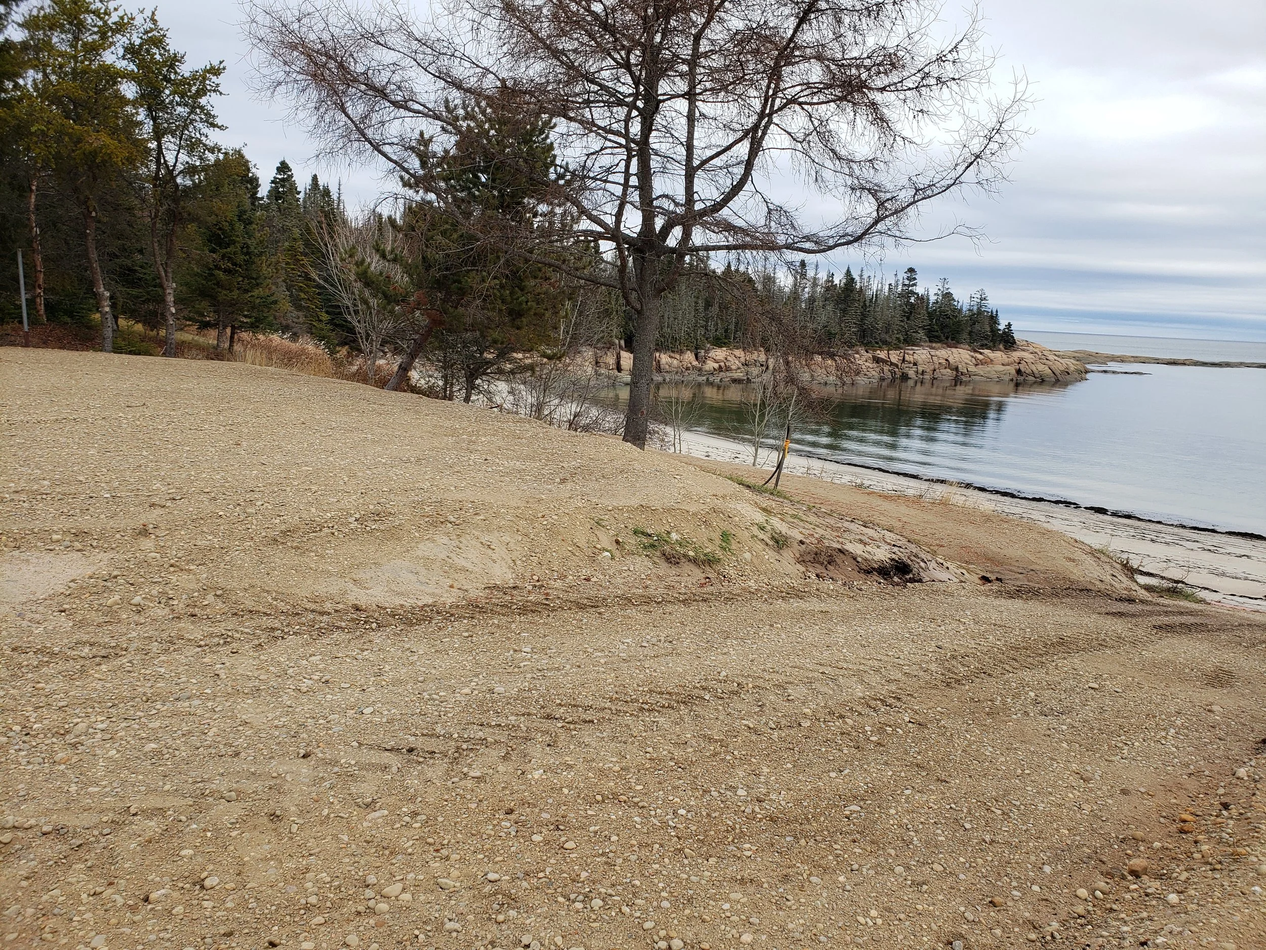 Plage rocheuse avec un arbre sans feuilles, vue sur un lac ou une mer avec des rochers et des arbres en arrière-plan, ciel nuageux.