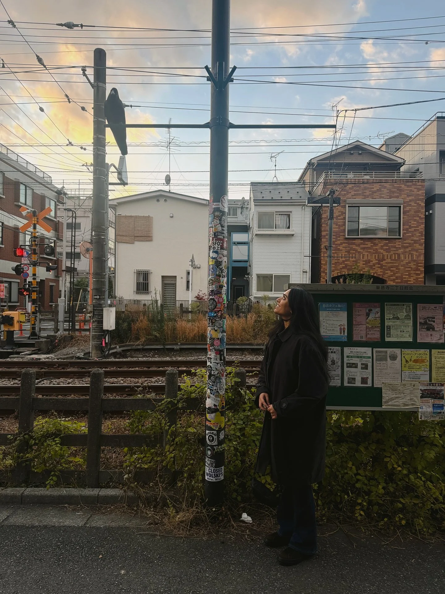 japan in the fall 🍂⛩️🌙