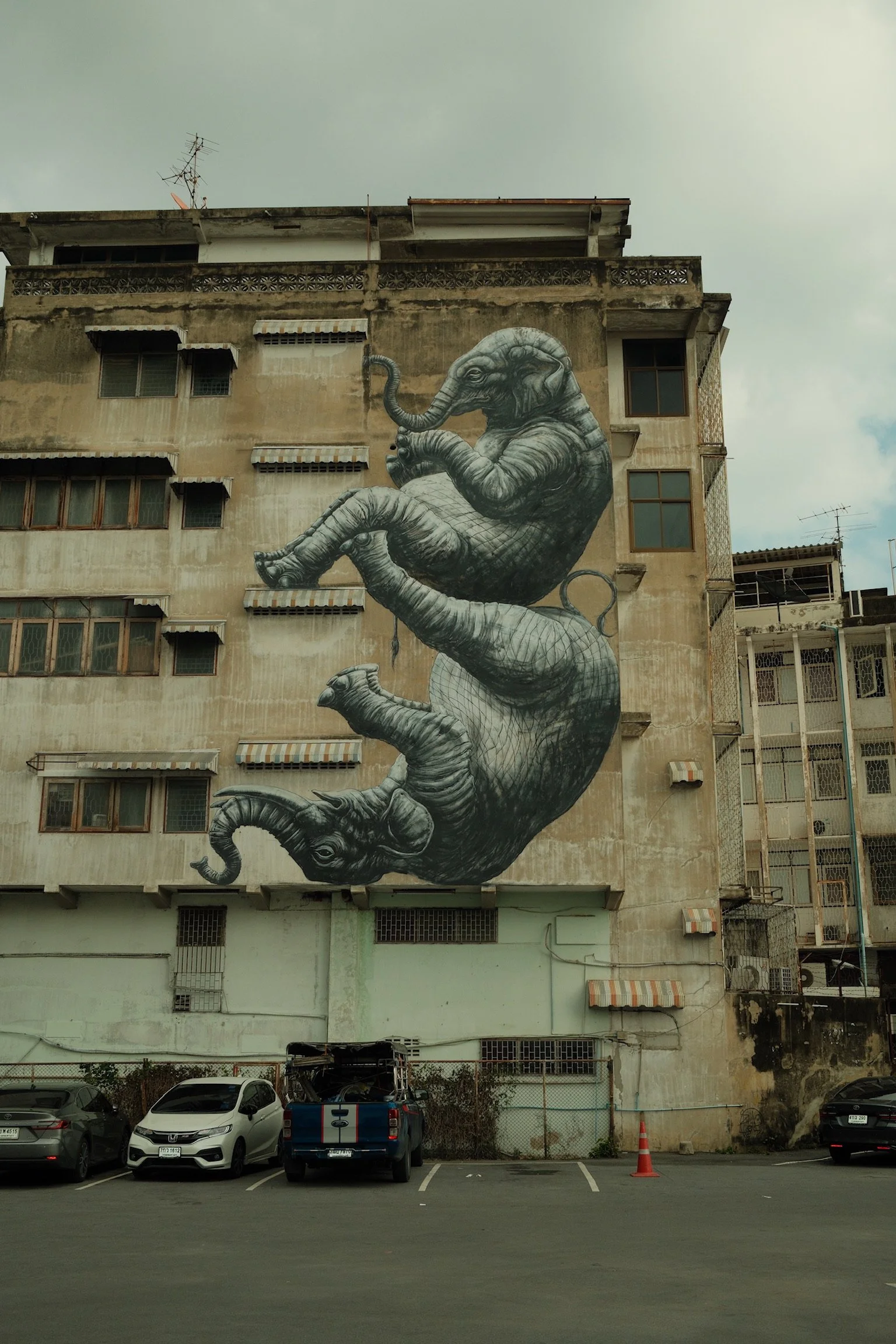 Groot olifant-muurkunst op een echt gebouw, zwart-wit met gedetailleerde schaduw in Bangkok.