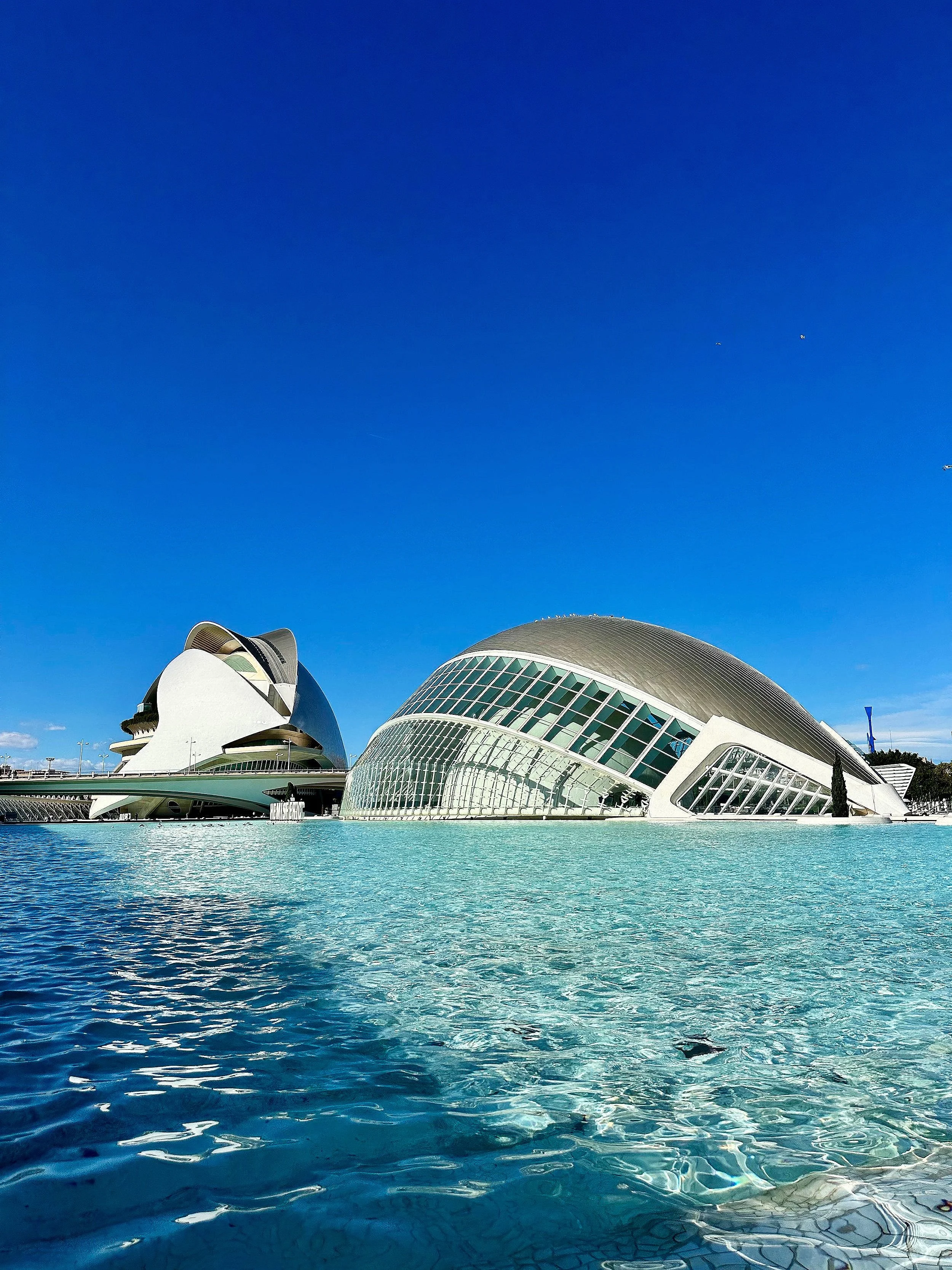 Moderne gebouwen met glazen en metalstructuren onder een heldere blauwe lucht, omringd door water.