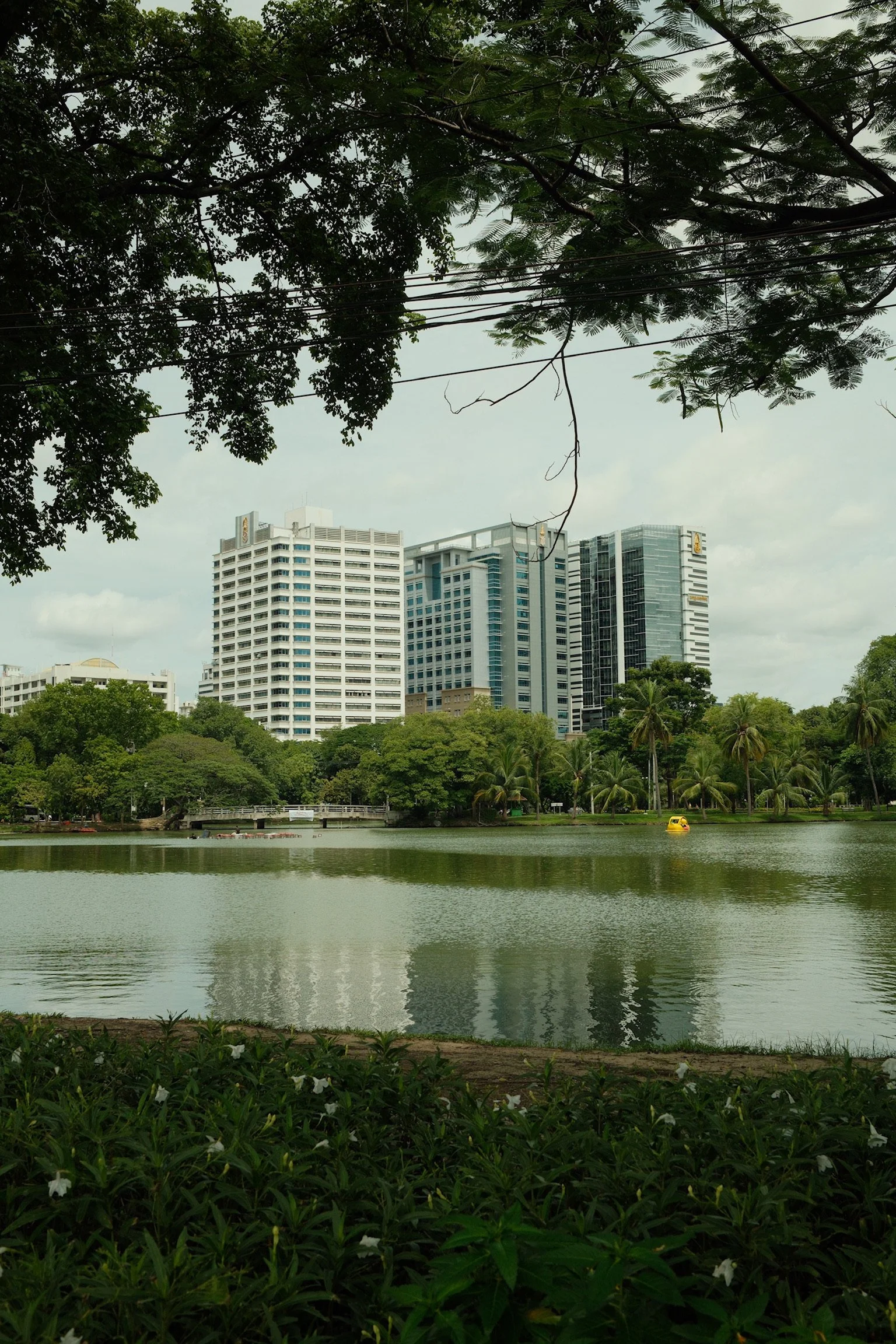 Uitzicht op een park met een meer, bomen, en moderne witte kantoorgebouwen op de achtergrond onder een bewolkte hemel.
