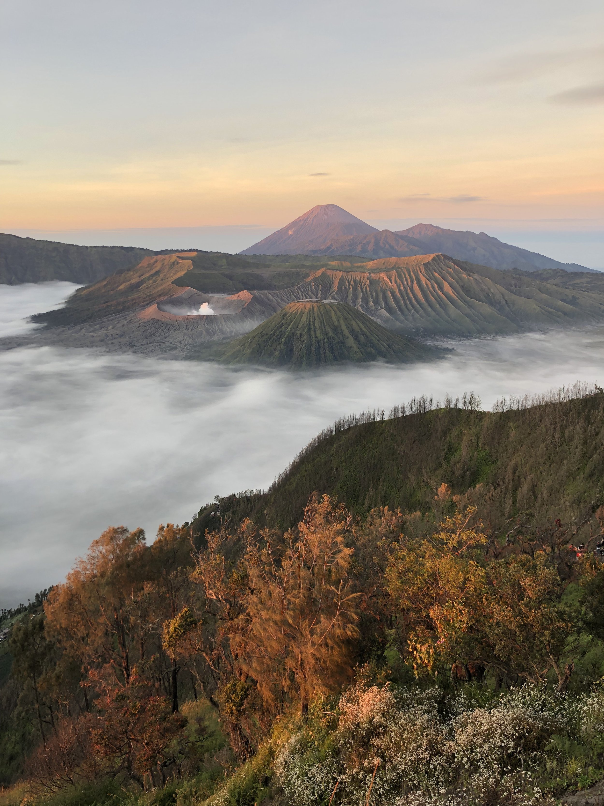 Uitzicht op de actieve vulkaan Mount Bromo, omringd door mist en vulkanische kraters, met een berg op de achtergrond en bomen met herfstkleuren op de voorgrond.