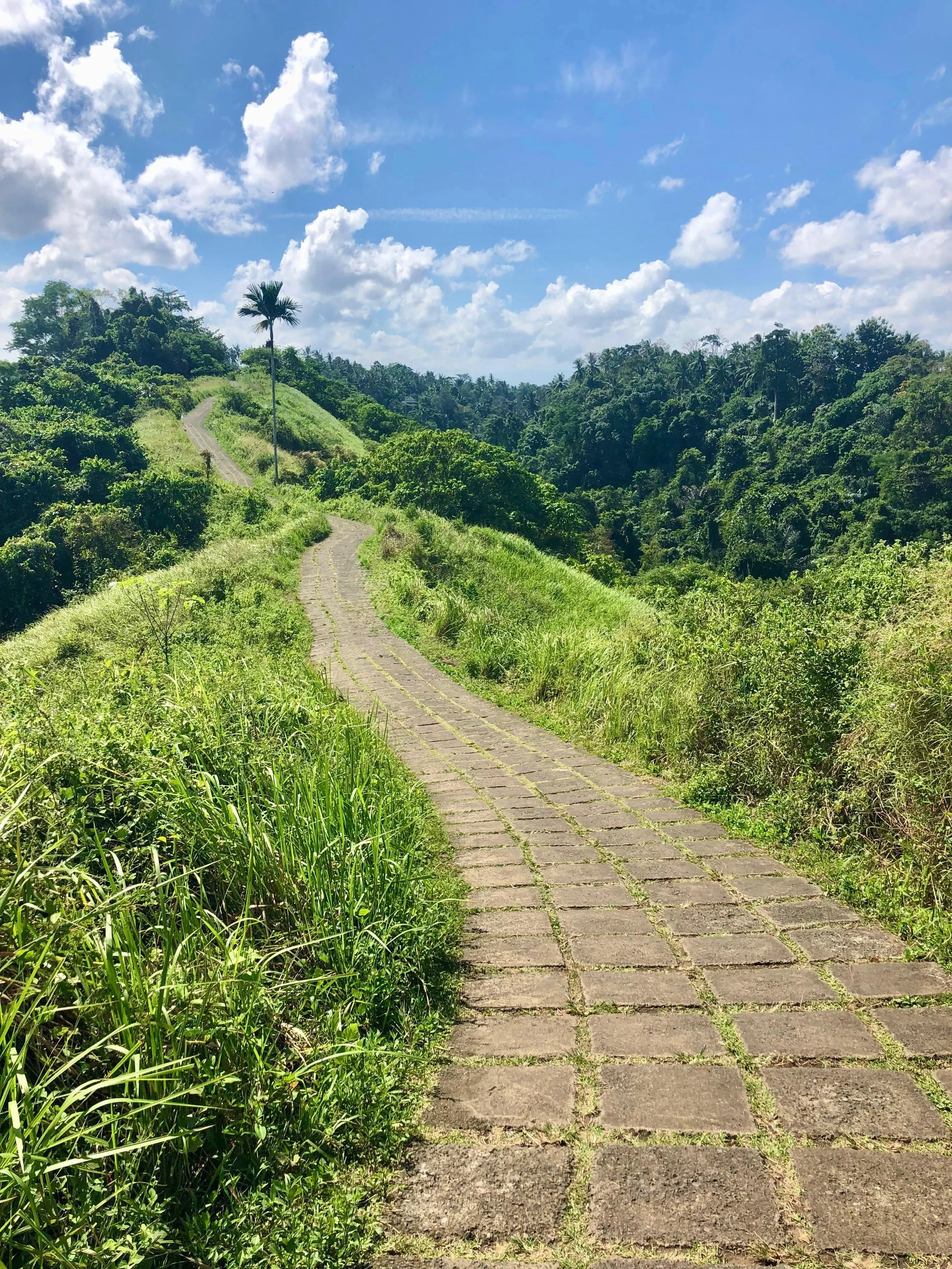 Een smal wandelpad over groene heuvels in Ubud, Bali, met blauwe lucht.