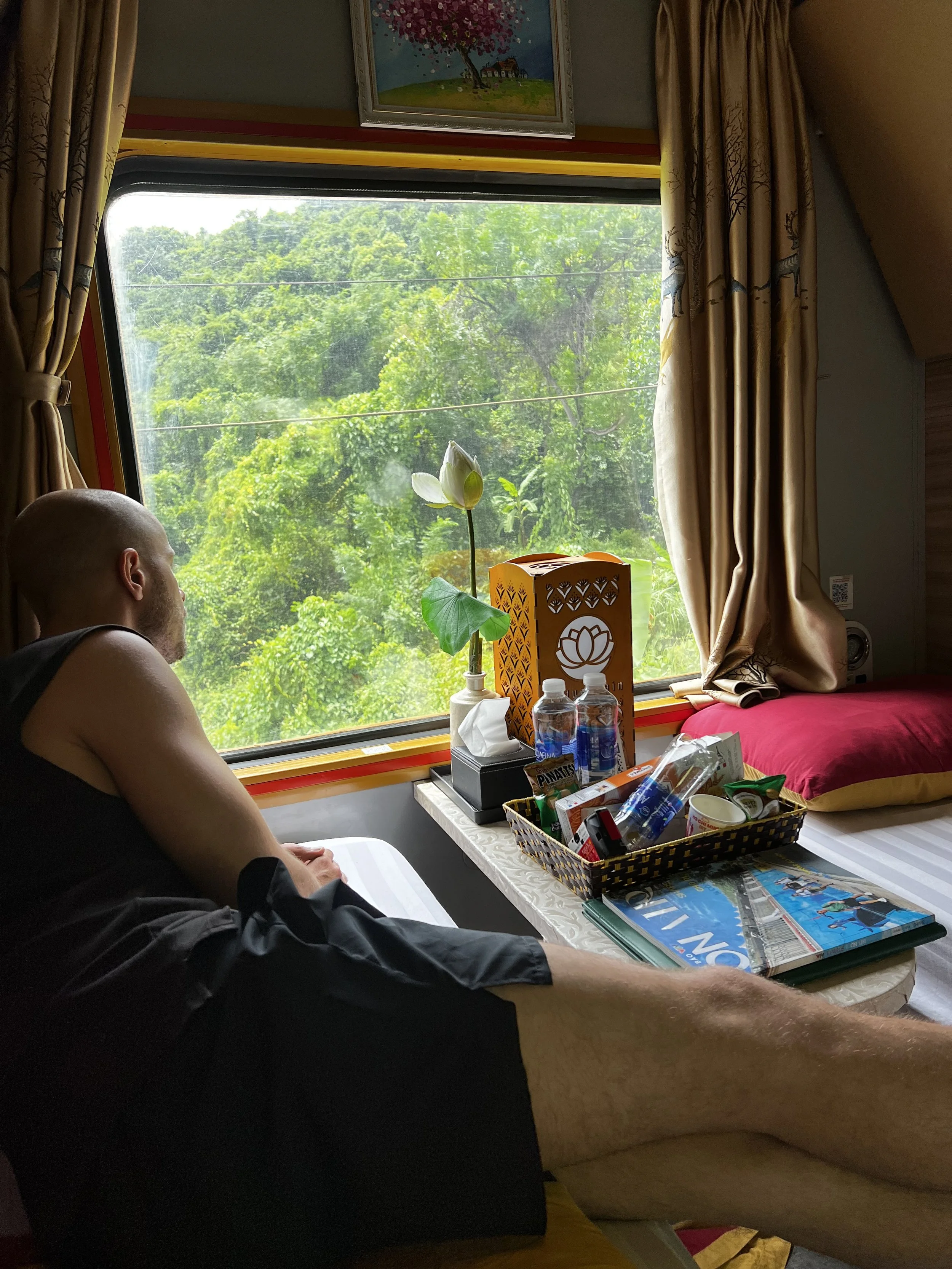 Man ligt op een bed, naar buiten kijkend door een raam met bloemen en een bos in de achtergrond.