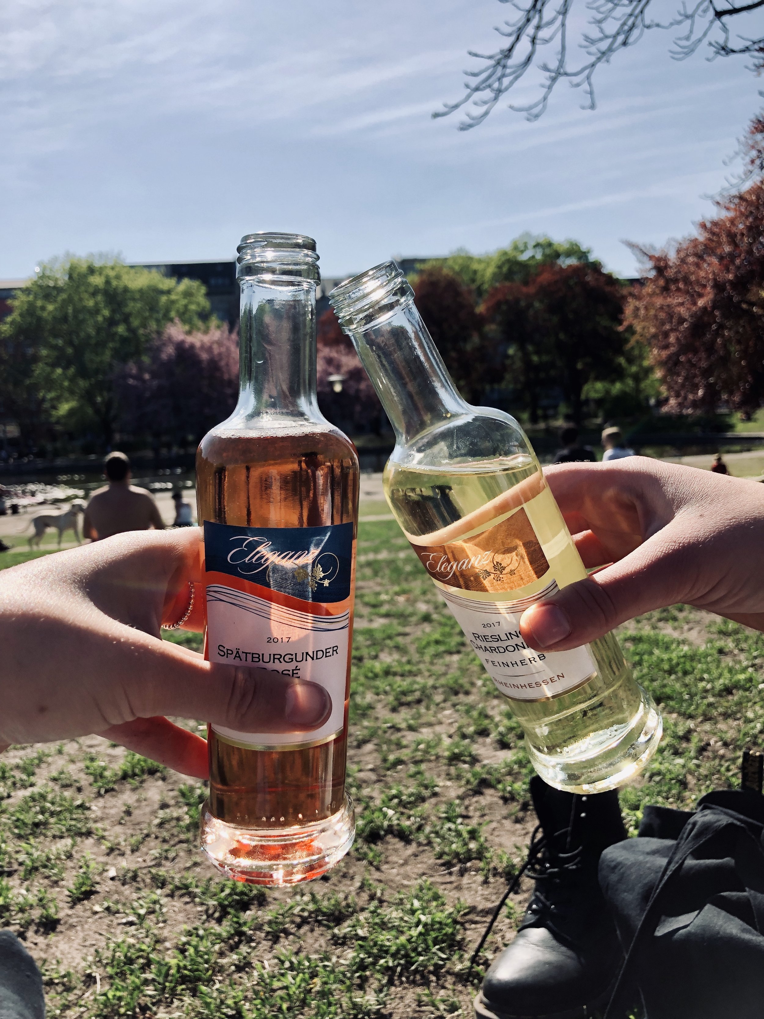Twee mensen houden wijnflesjes omhoog in een park met bomen en een meer op de achtergrond.