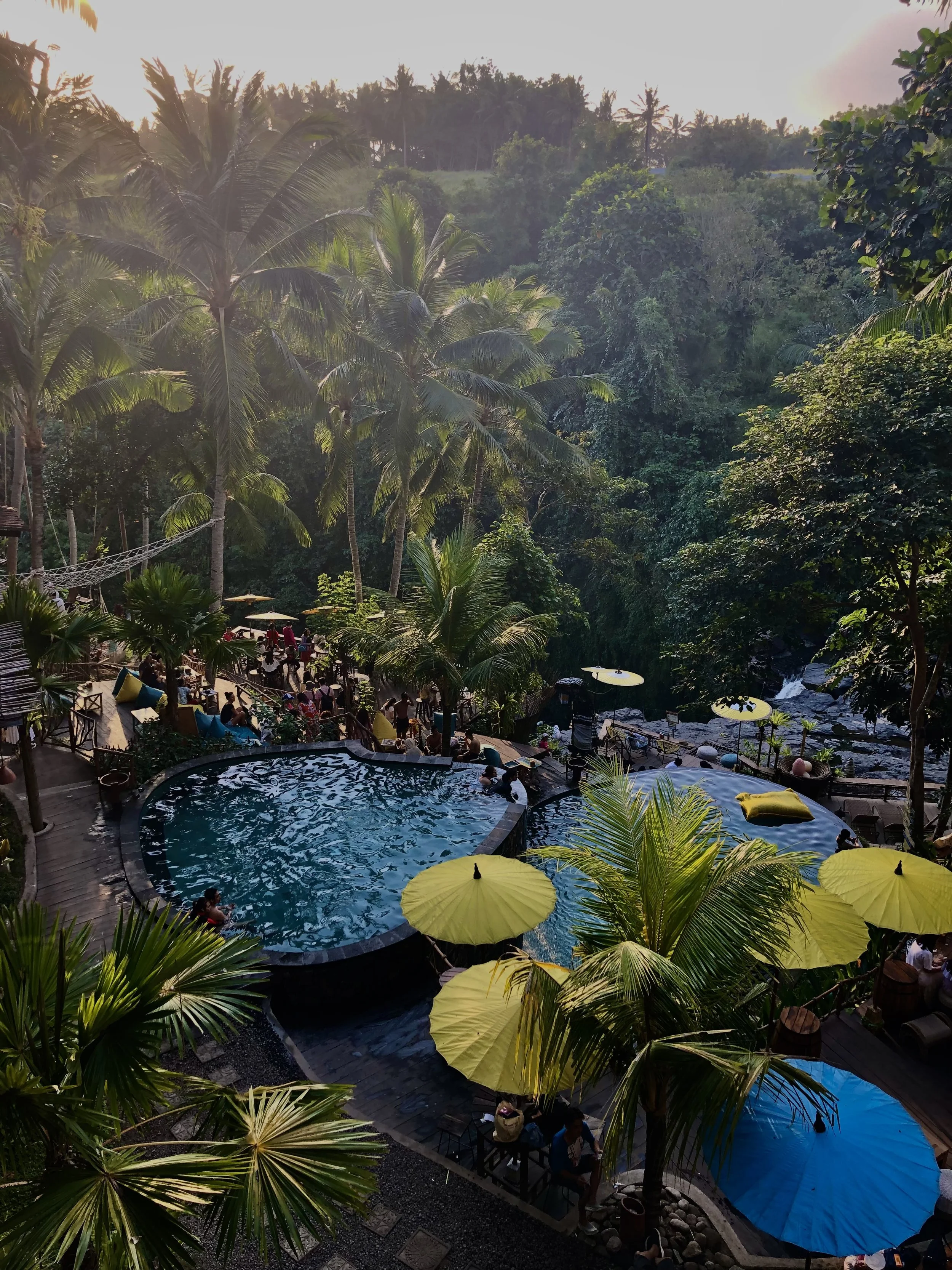 Liegen en zwemmers bij een infinity zwembad omringd door palm- en tropische bomen, met een bos en zonsondergang op de achtergrond.