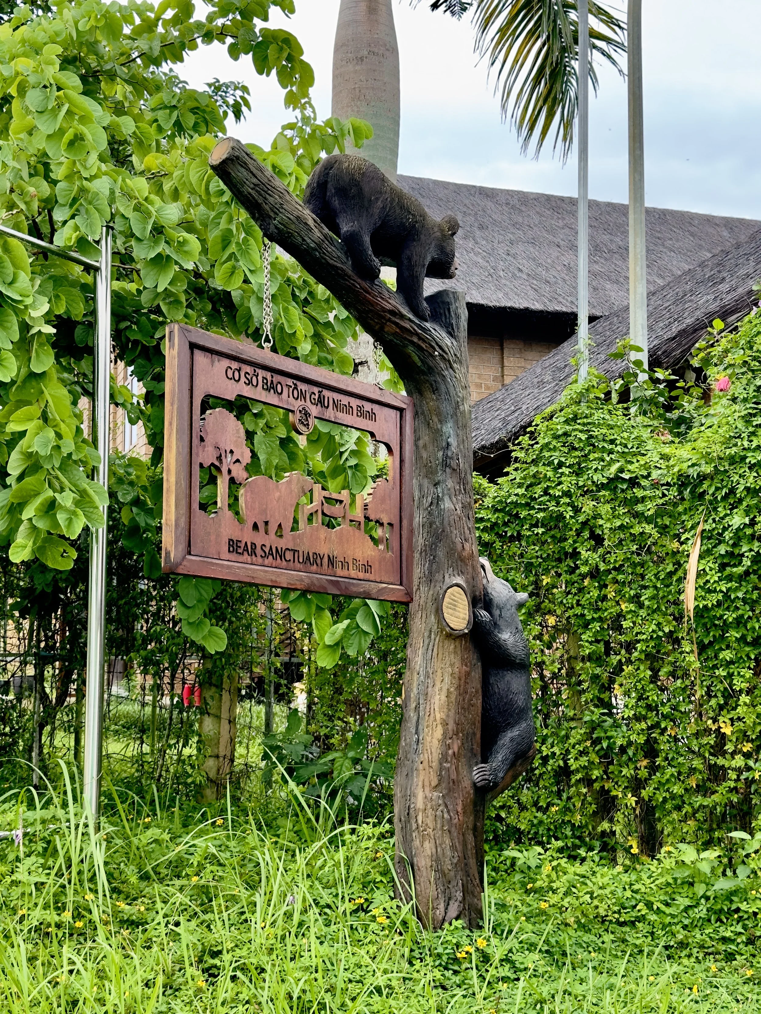 Beren, één op de grond en één op een boom, bij de ingang van het berenreservaat Ninh Binh in Vietnam.