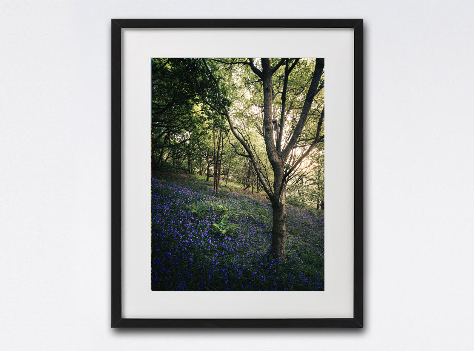 framed photo template.png