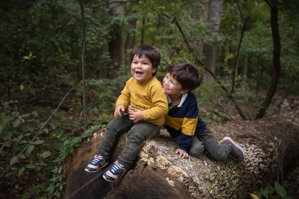 Two young brothers sit on a giant fallen log in the forest and laugh and giggle.