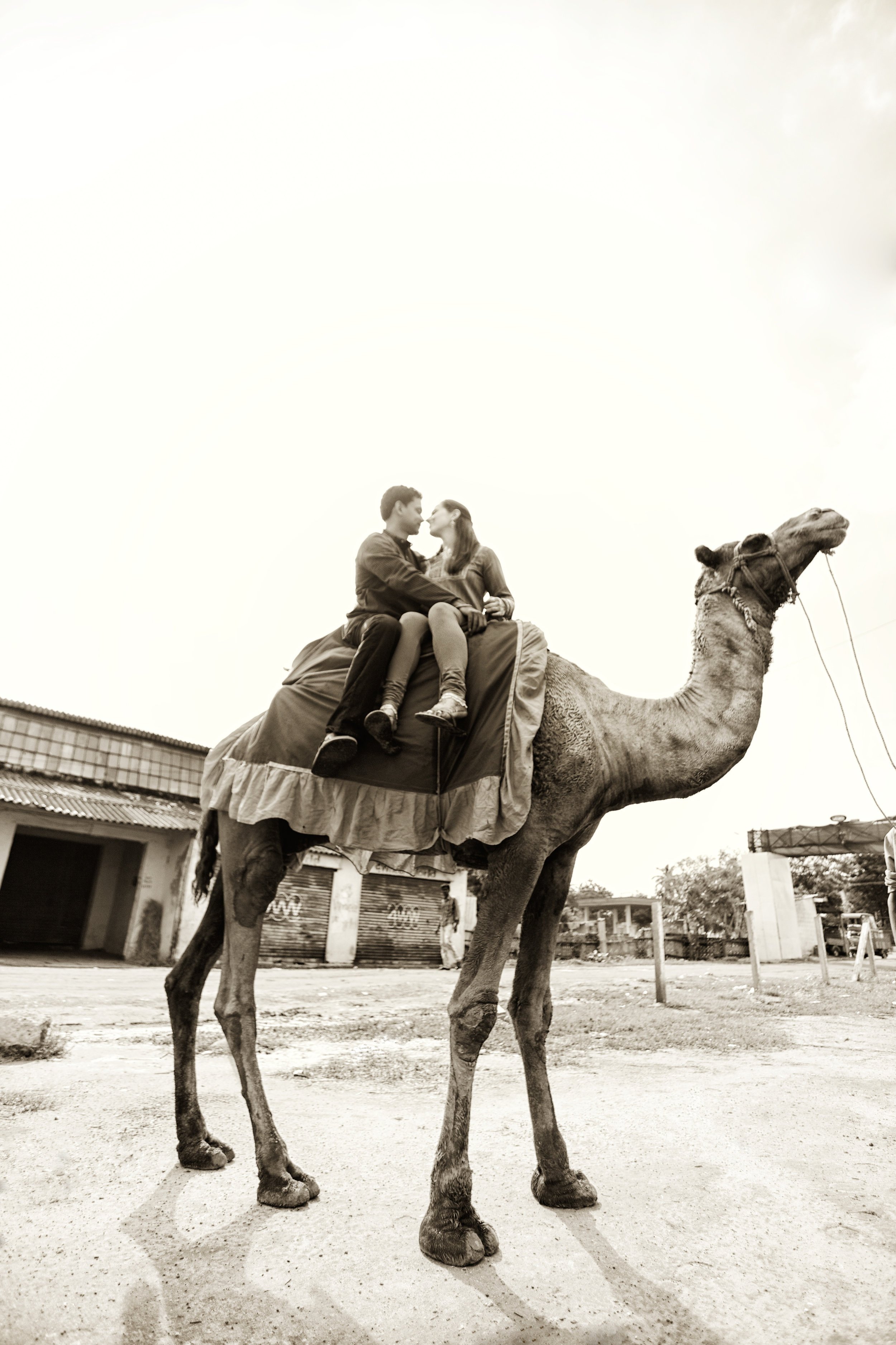 Couple sitting on top of a camel. Black and white image from below.