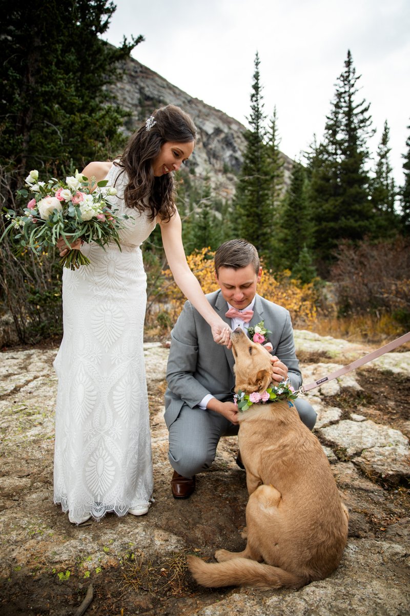 A couple with their dog on their wedding day. The groom is attaching a flower collar to the dog while the bride gives the dog a loving scratch under the chin.