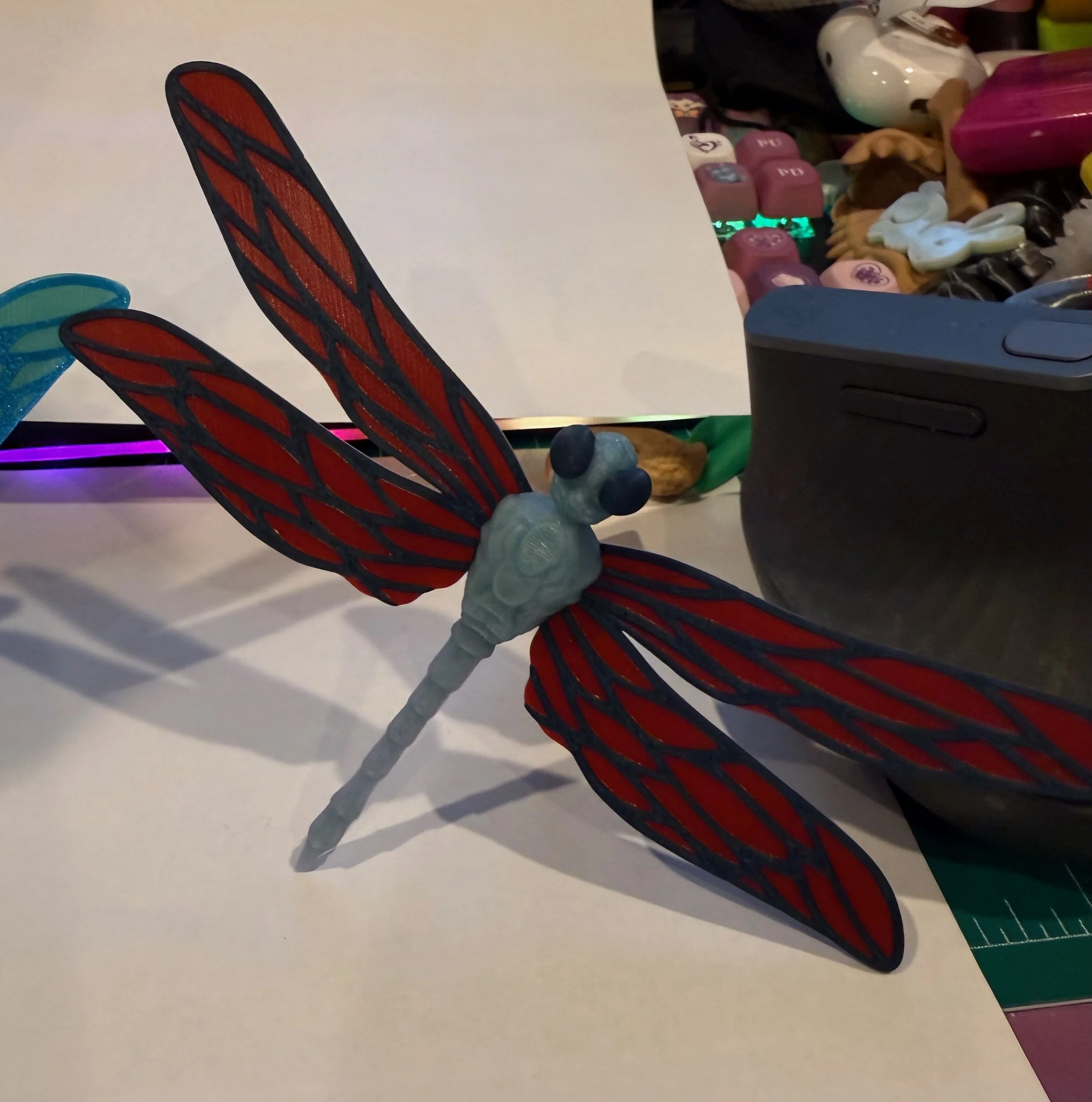 multicolor dragonfly2.jpeg