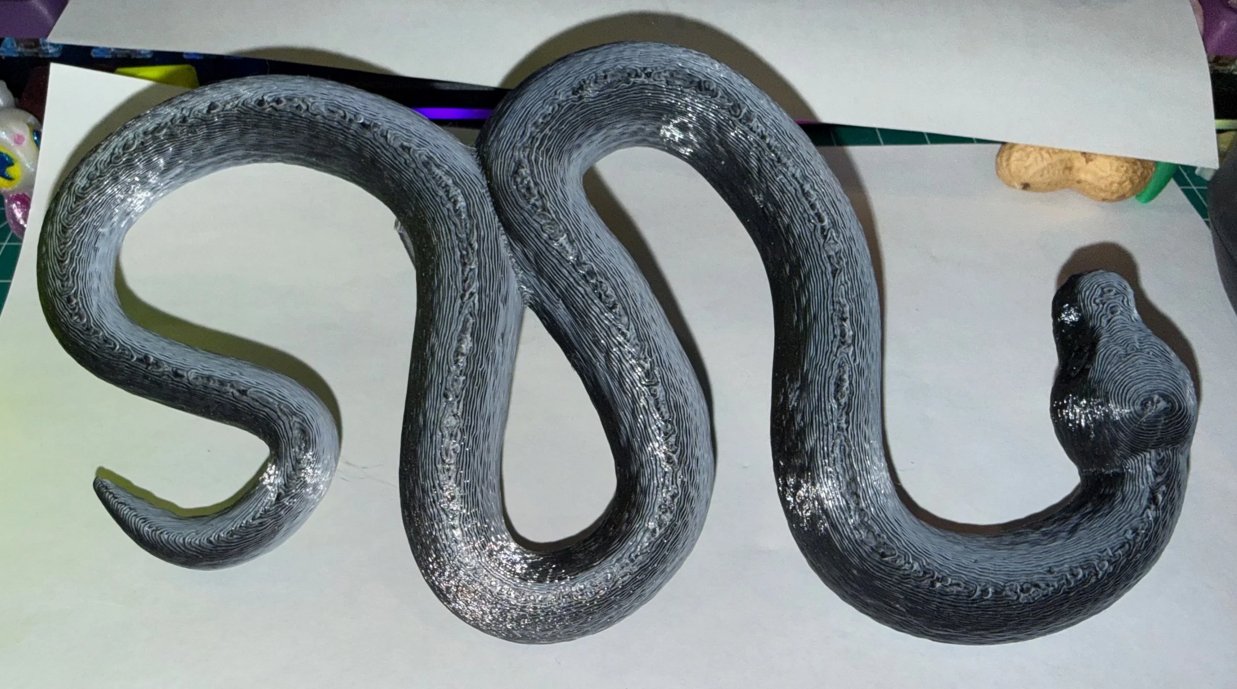 snake black-white.jpeg