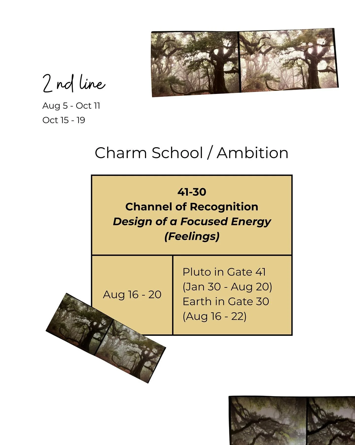 Thoughts on the global Channel of Recognition (41-30) between transiting Pluto and Earth during the 2nd-line period of the 22/47 human design nodal season. 

August 16-20

What comes next is the Channel of Community (37-40) at the end of the month. W