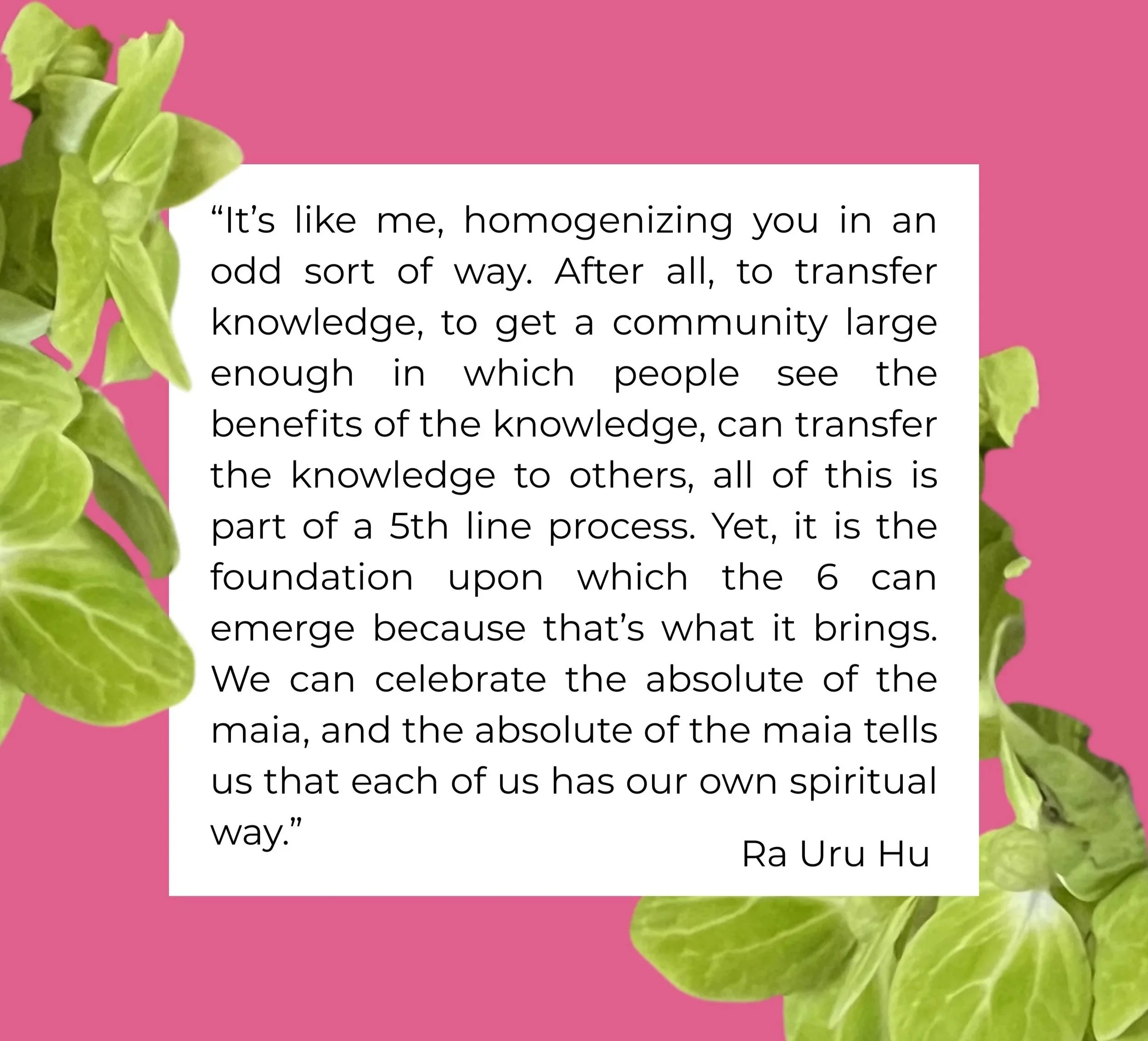 On a pink background with green flowers, a quote from Ra explaining how he brought the system through in a 5th line way in order to make room for the 6th-line iteration to emerge.