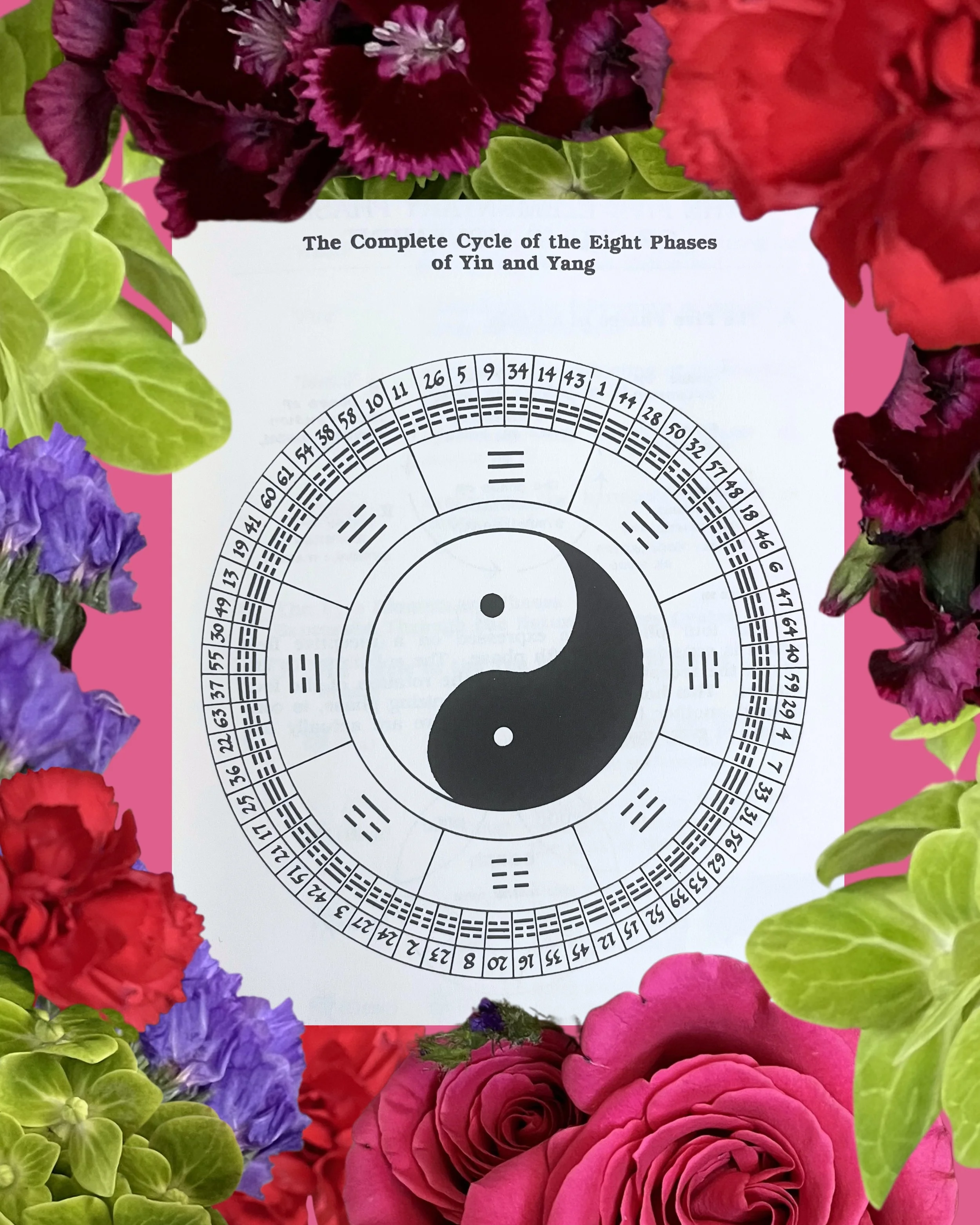 From Ni's I Ching, "The Complete Cycle of the Eight Phases of Yin and Yang." A wheel showing the 64 hexagrams in the Early Heaven sequence with the Taiji in the center and an inner wheel marking the eight trigram divisions.