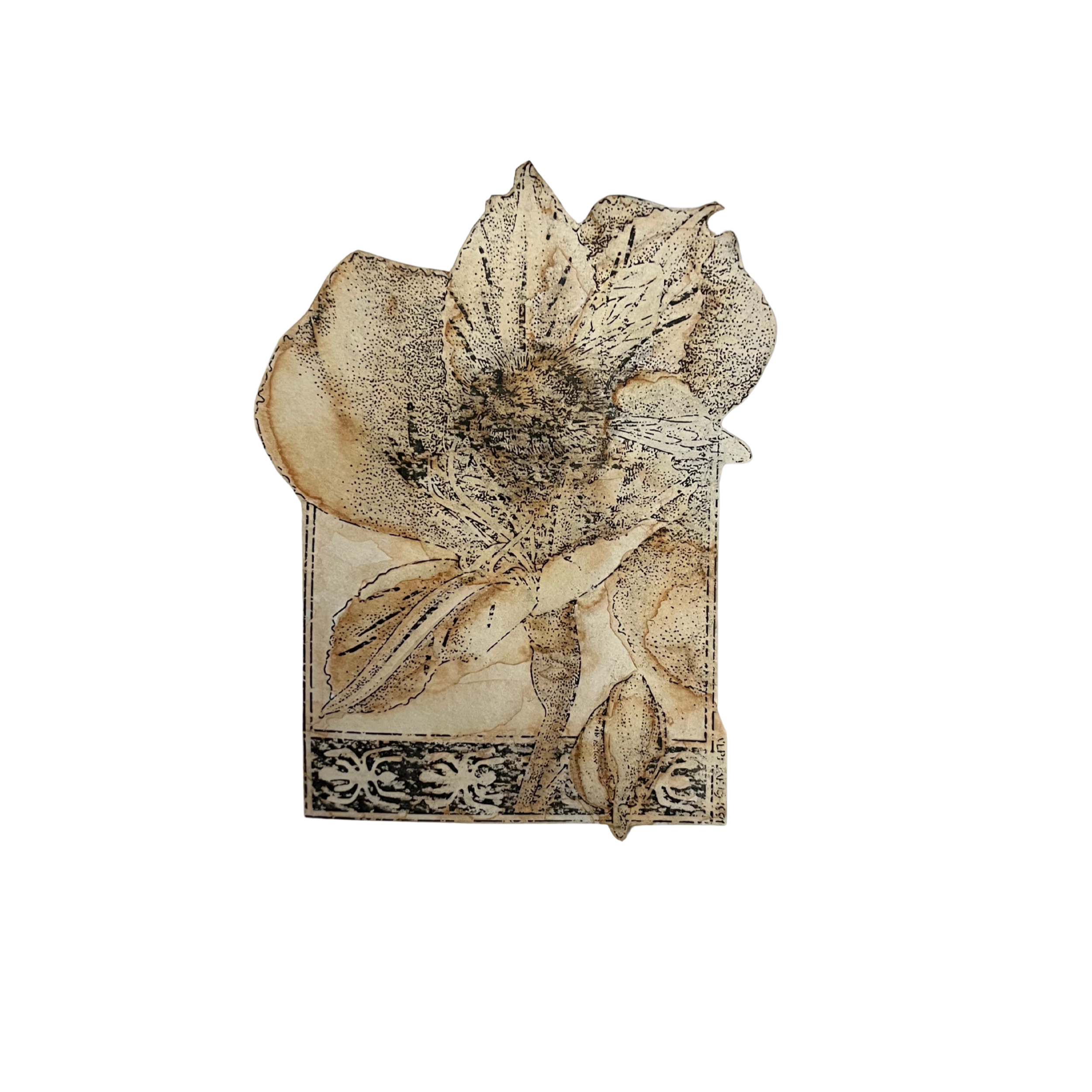 Collage art of a flower with a bee and a border of spiders painted with sepia watercolor.