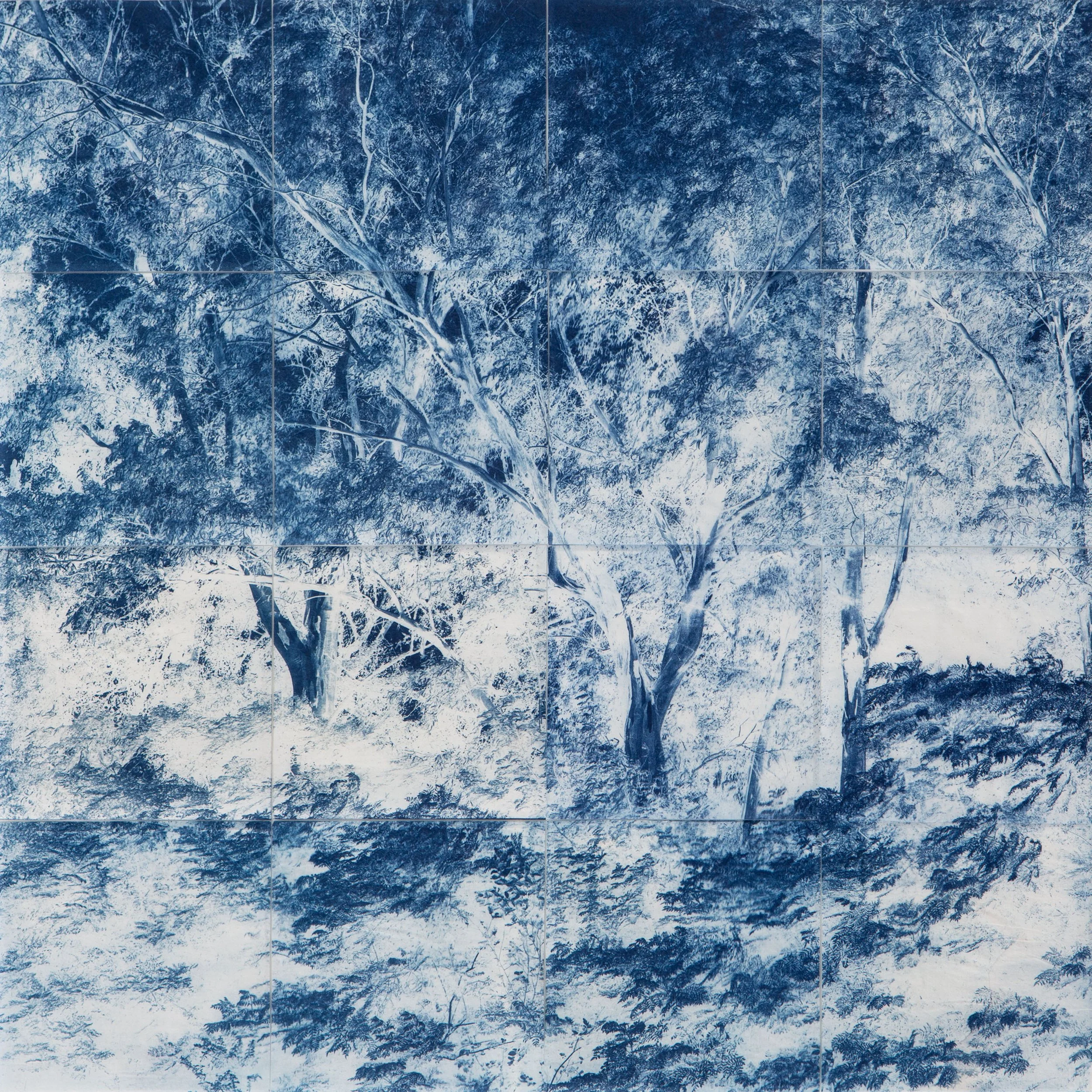Carolina Baldomá, Untitled; from the series The Path to Shizen, 2025