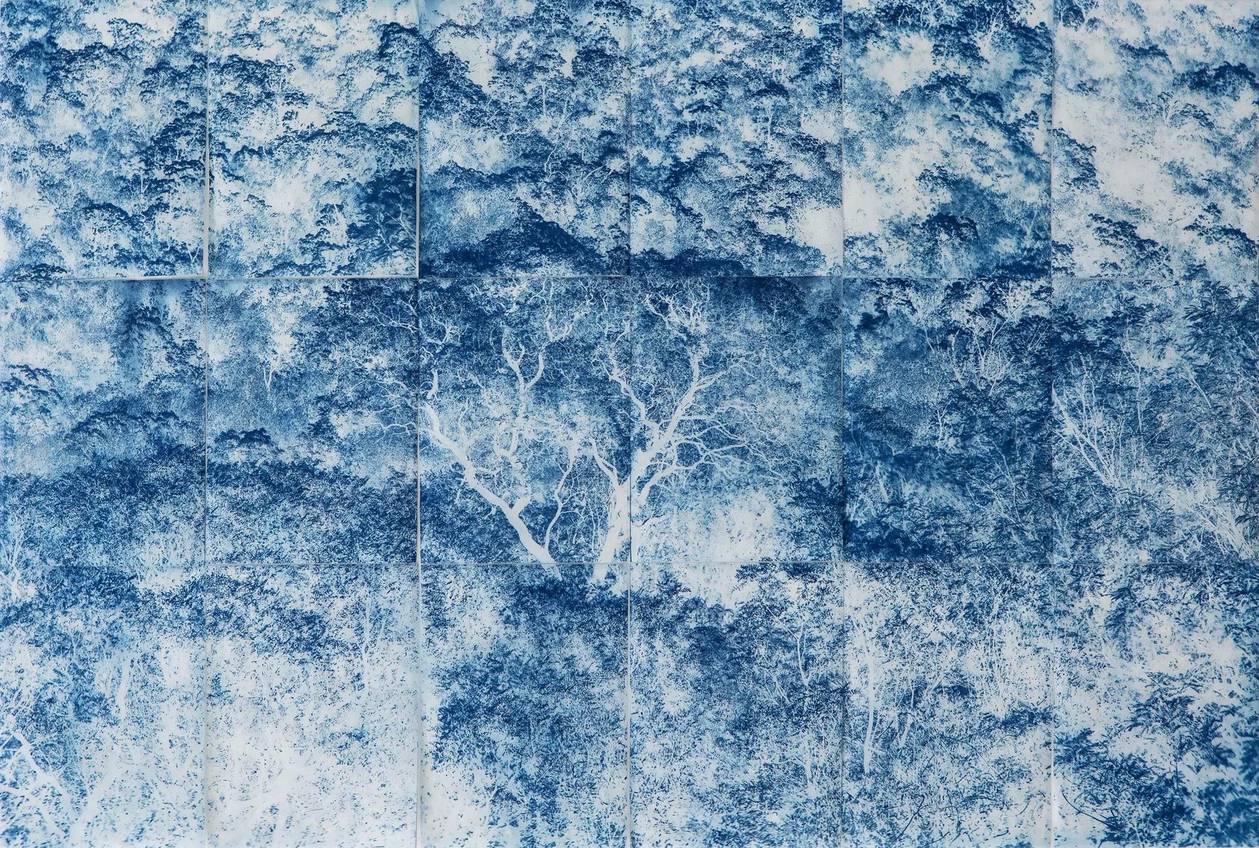 Carolina Baldomá, Untitled; from the series The Path to Shizen, 2024