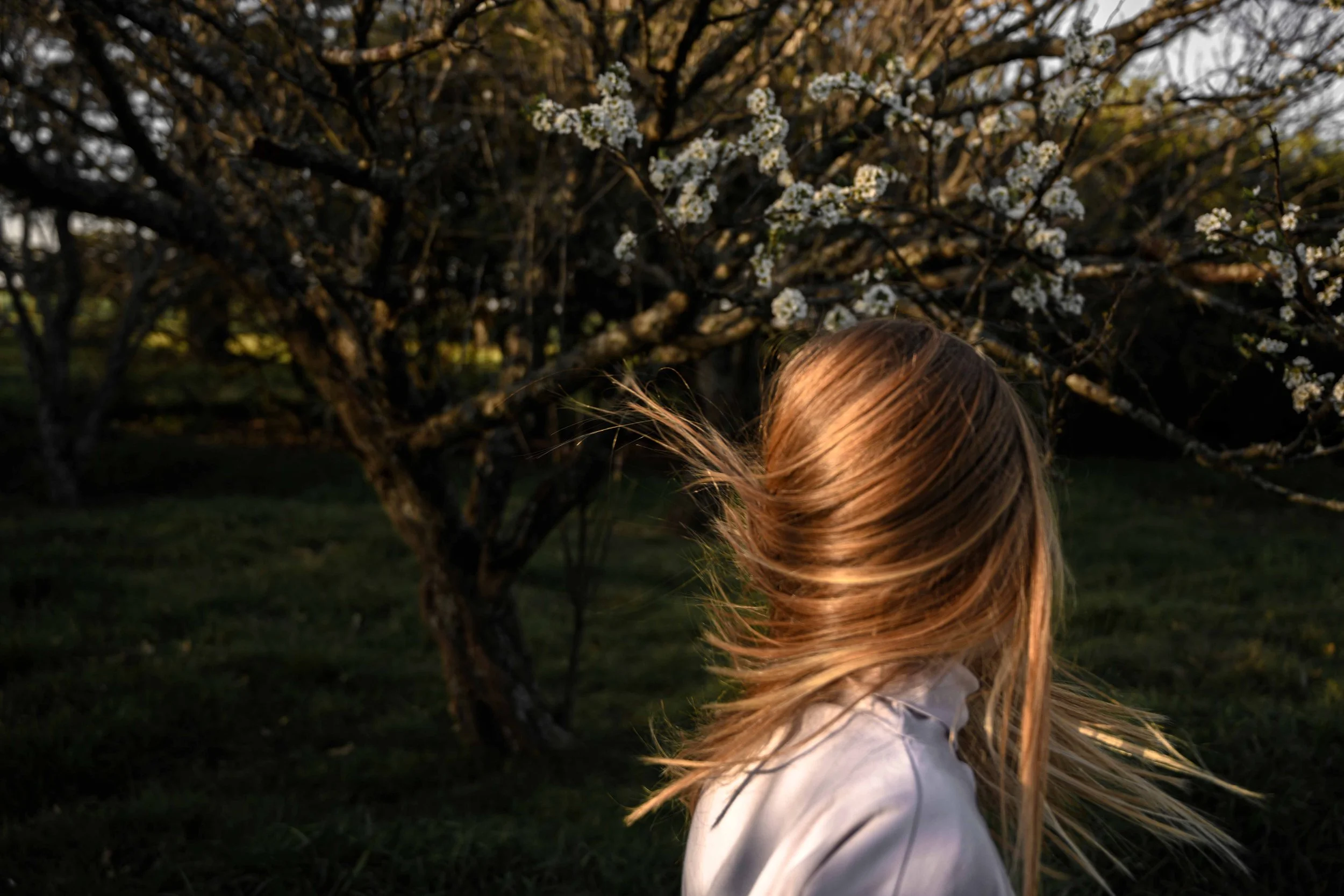 Carolina Baldomá, Untitled; from the series I Was Once Between the Moon and the Sun 2021