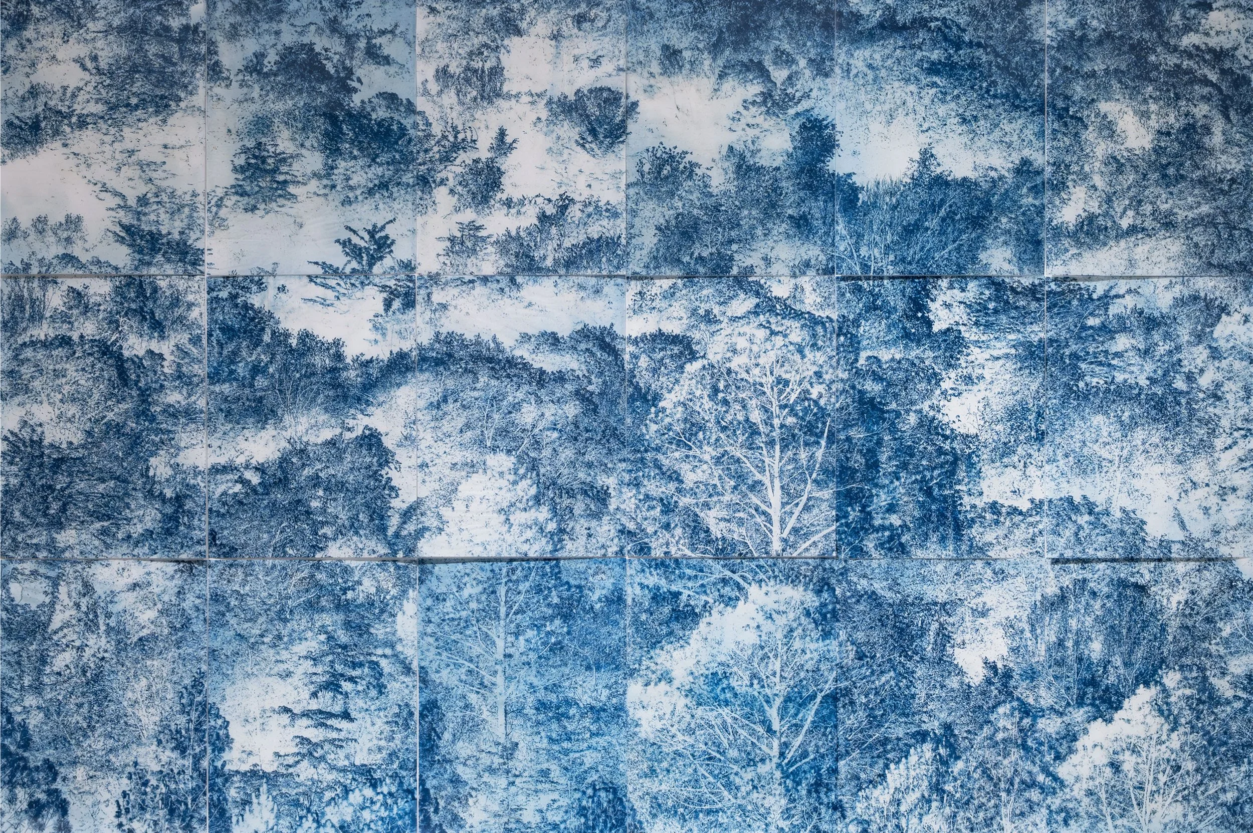 Carolina Baldomá, Untitled; from the series The Path to Shizen, 2024. Cyanotype on Japanese paper. Polyptych of 18 pieces.