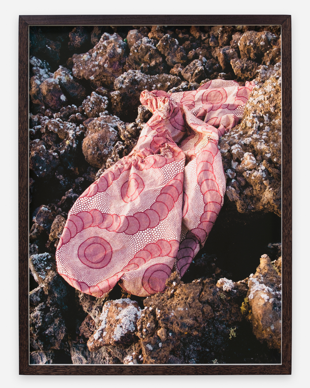 Cascaras Lava Series, 2015