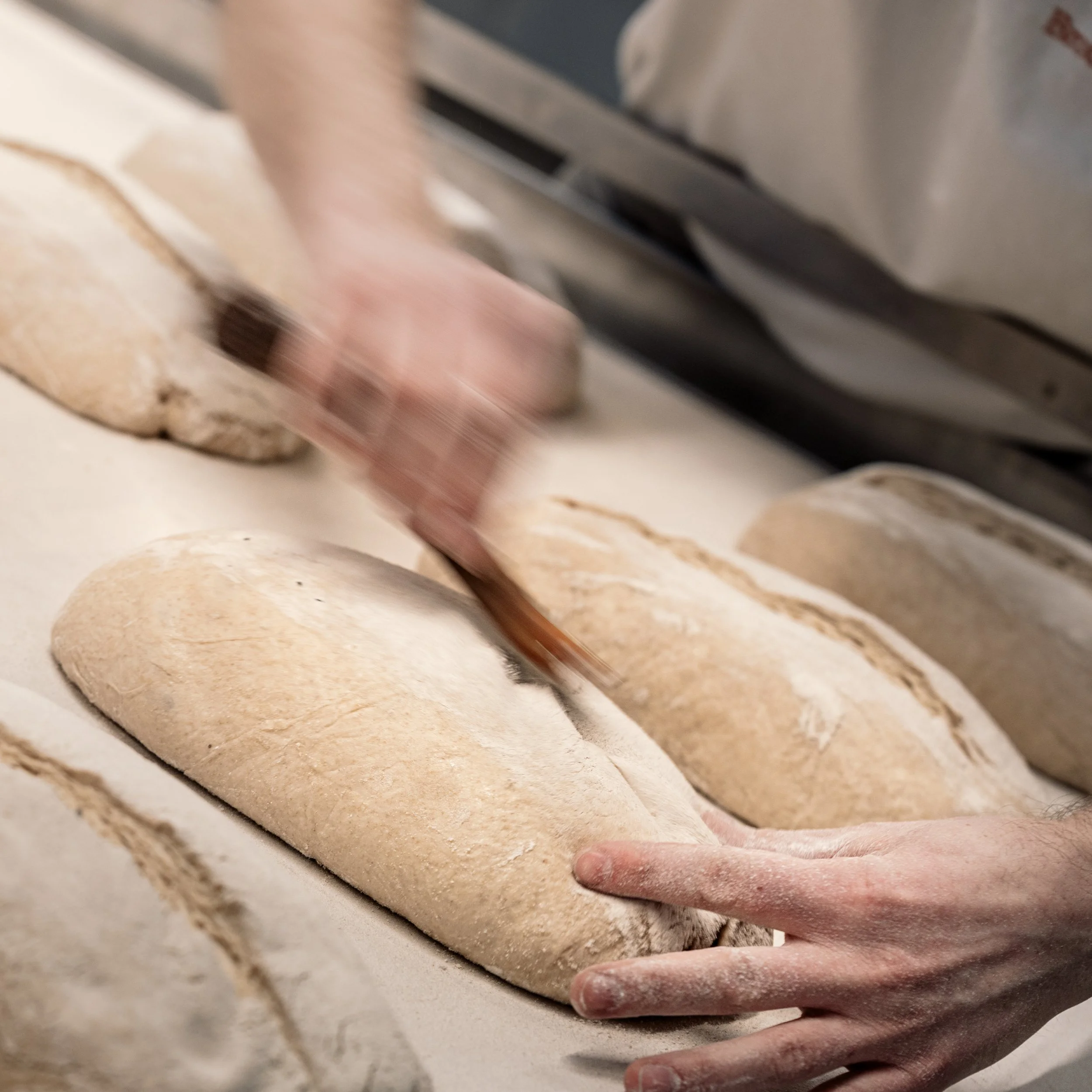 Brotstudio-2.jpg