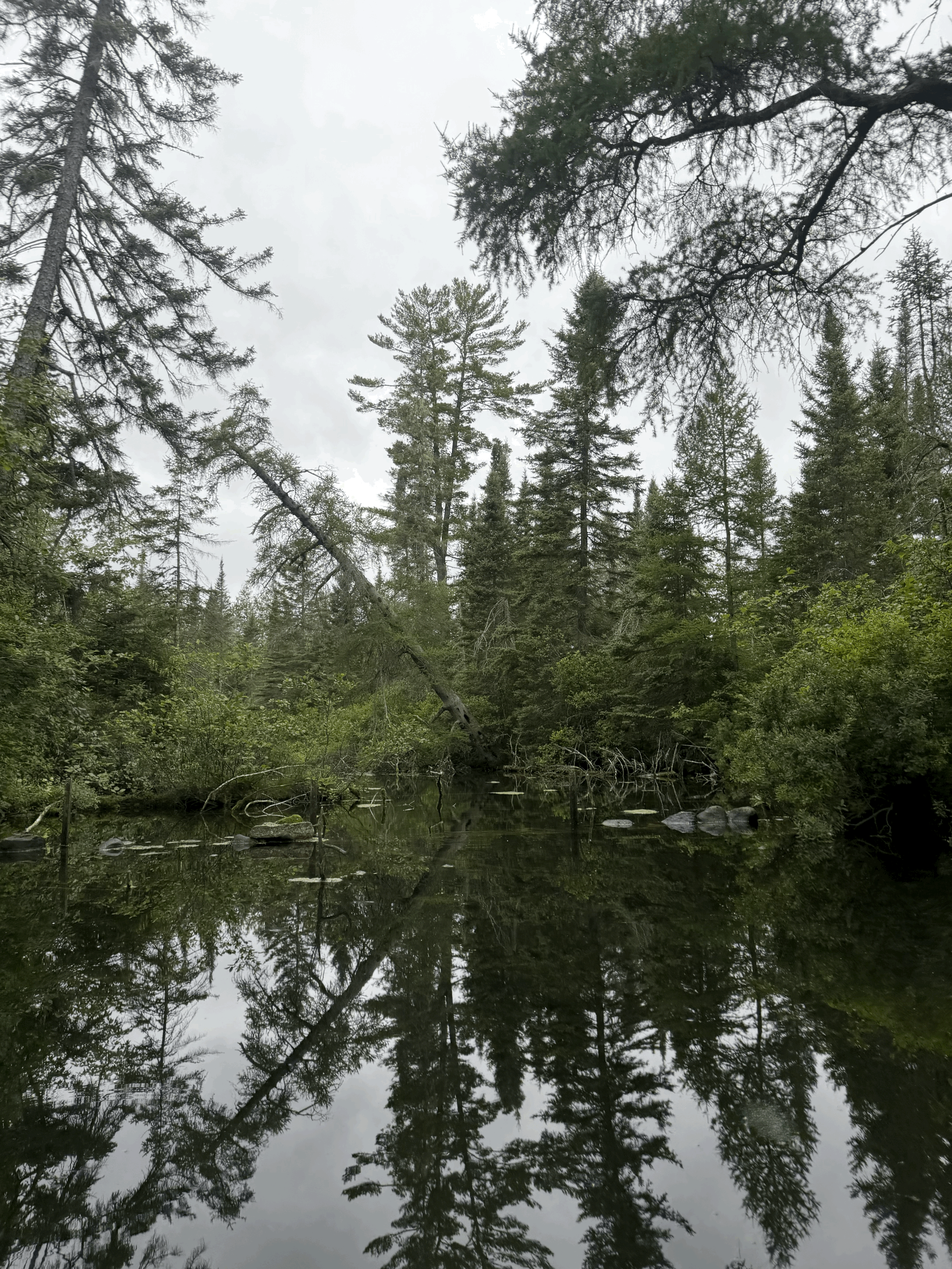 Primordial Bogging